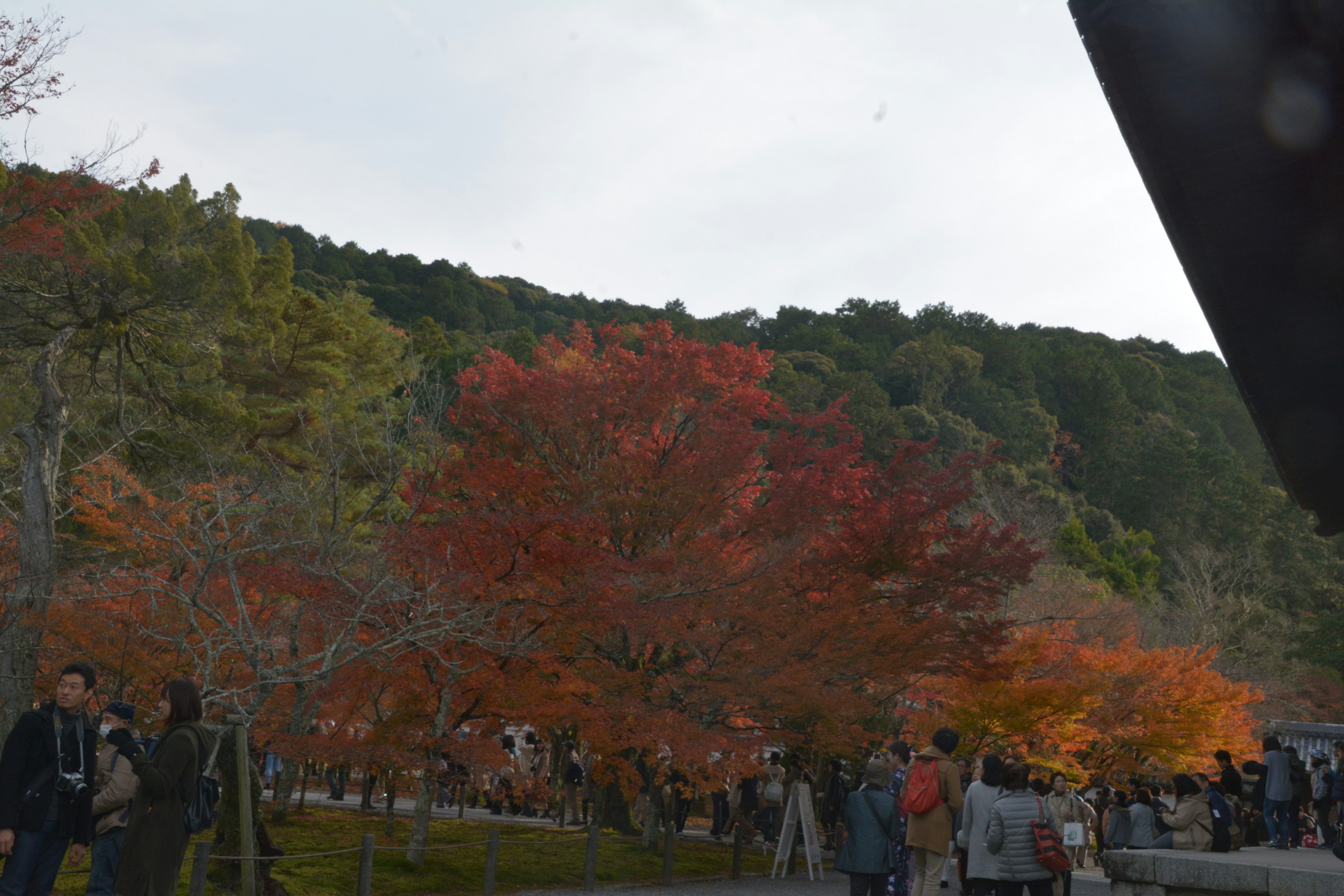 Vista escénica del follaje de otoño en un parque con visitantes