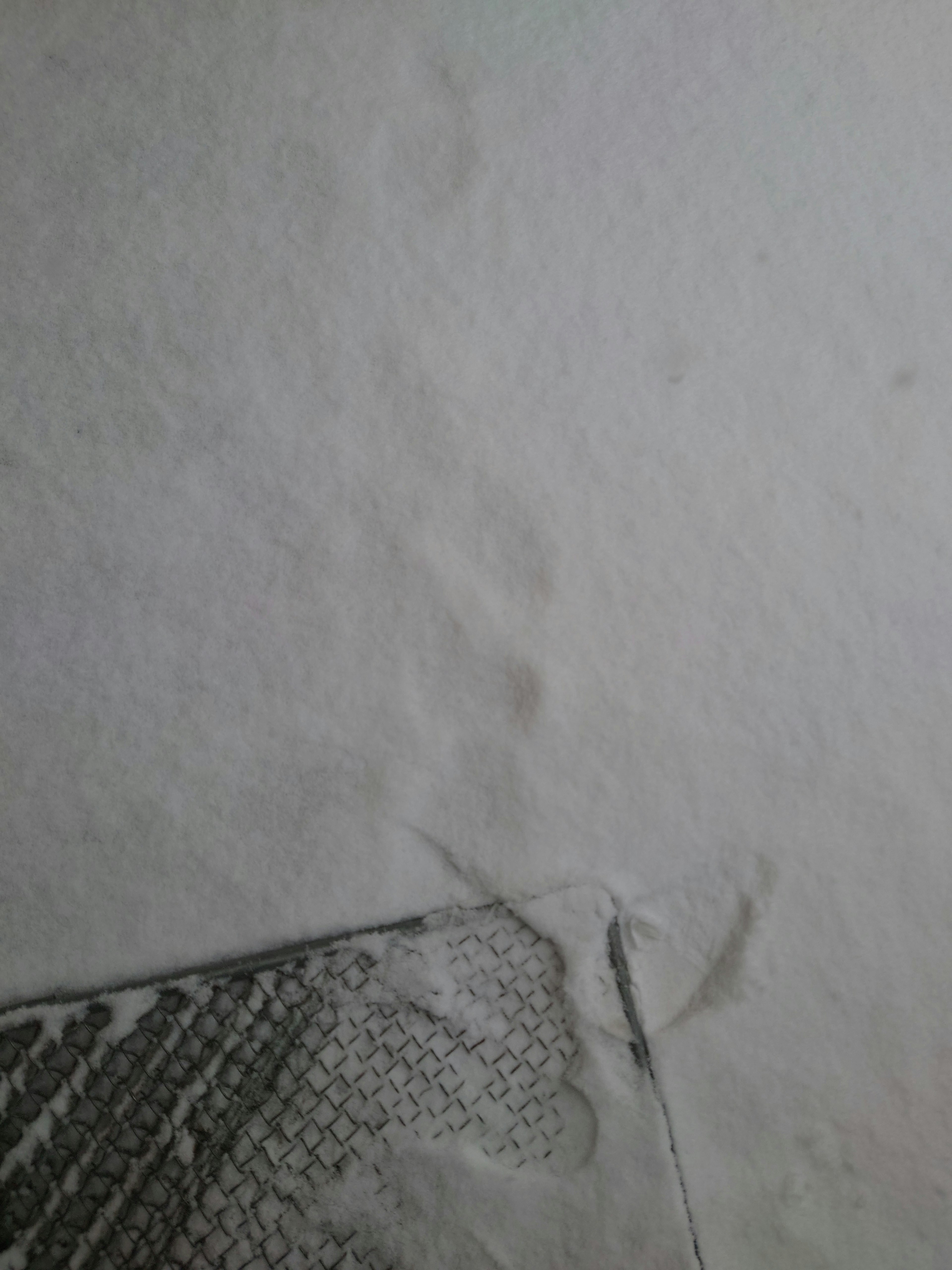 Animal footprints on white snow with a textured edge