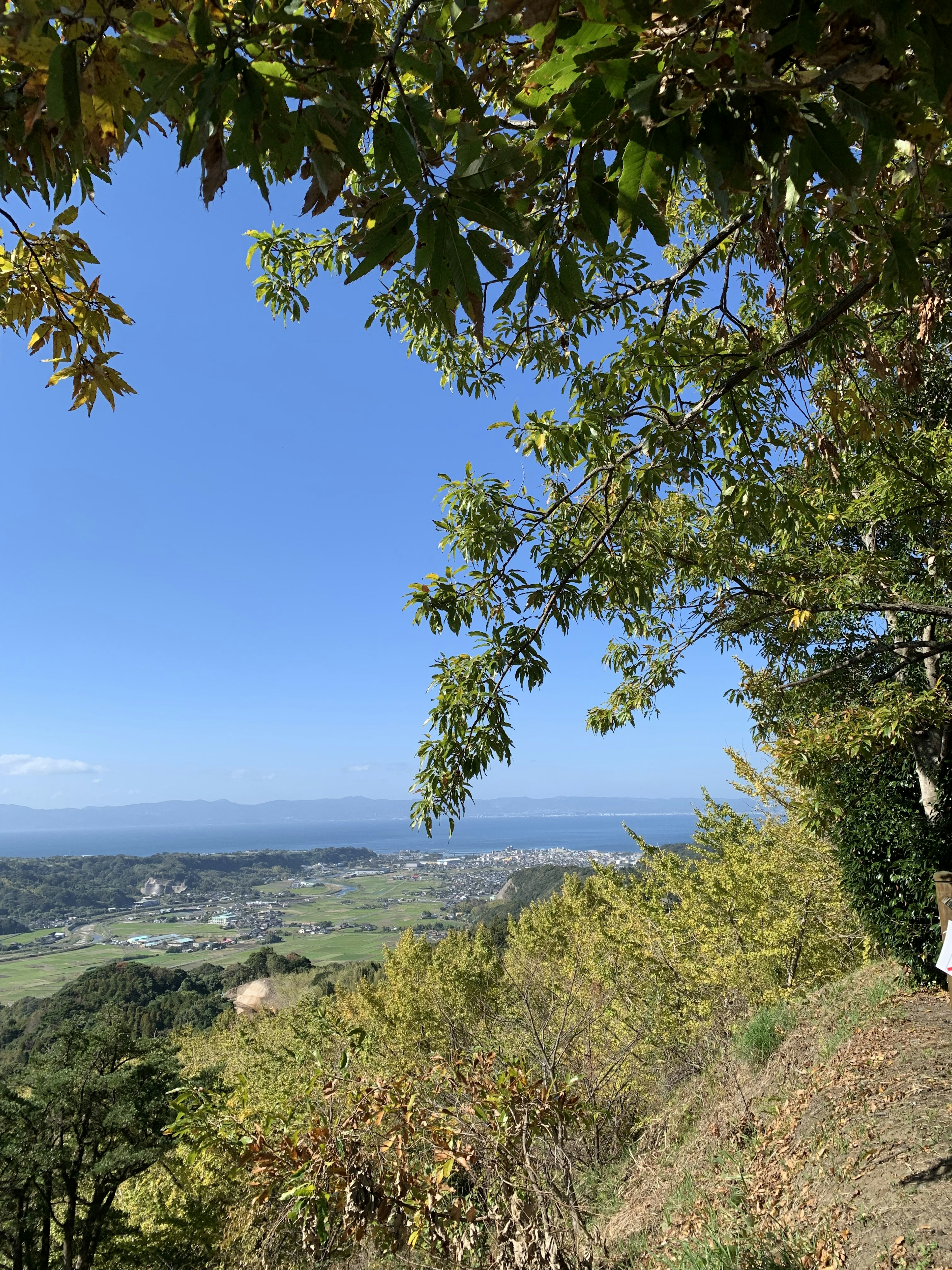 Paysage magnifique avec ciel bleu et arbres verts