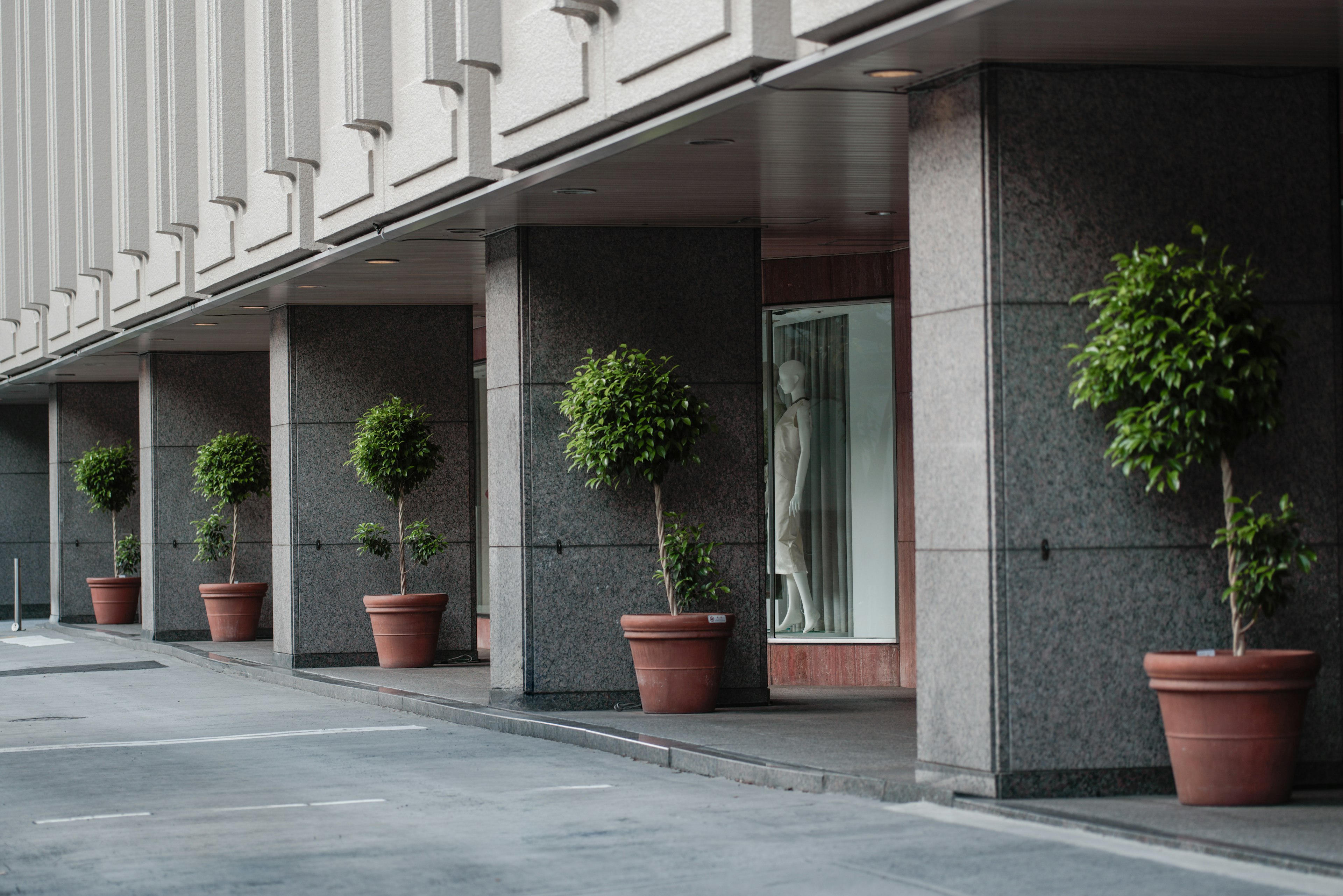 Columnas dispuestas ordenadamente con arbustos en macetas a lo largo del exterior de un edificio comercial