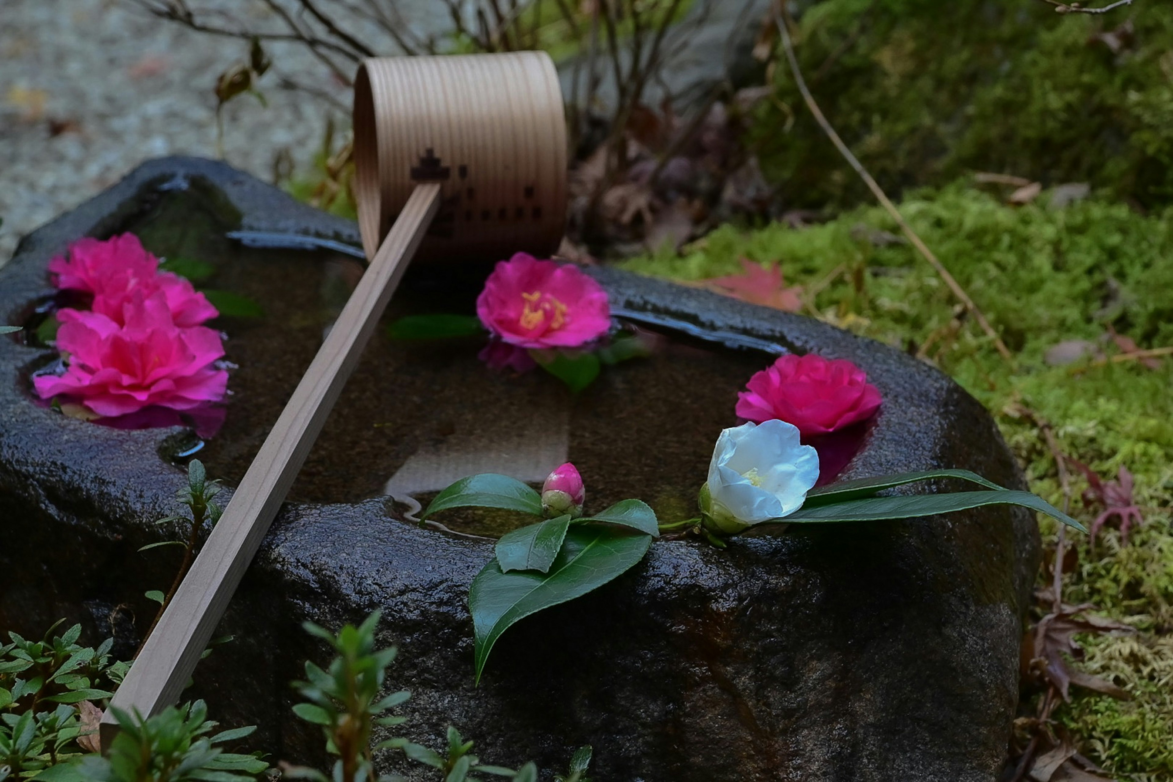 Une scène de jardin sereine avec des fleurs flottantes et un maillet en bois posé sur une pierre