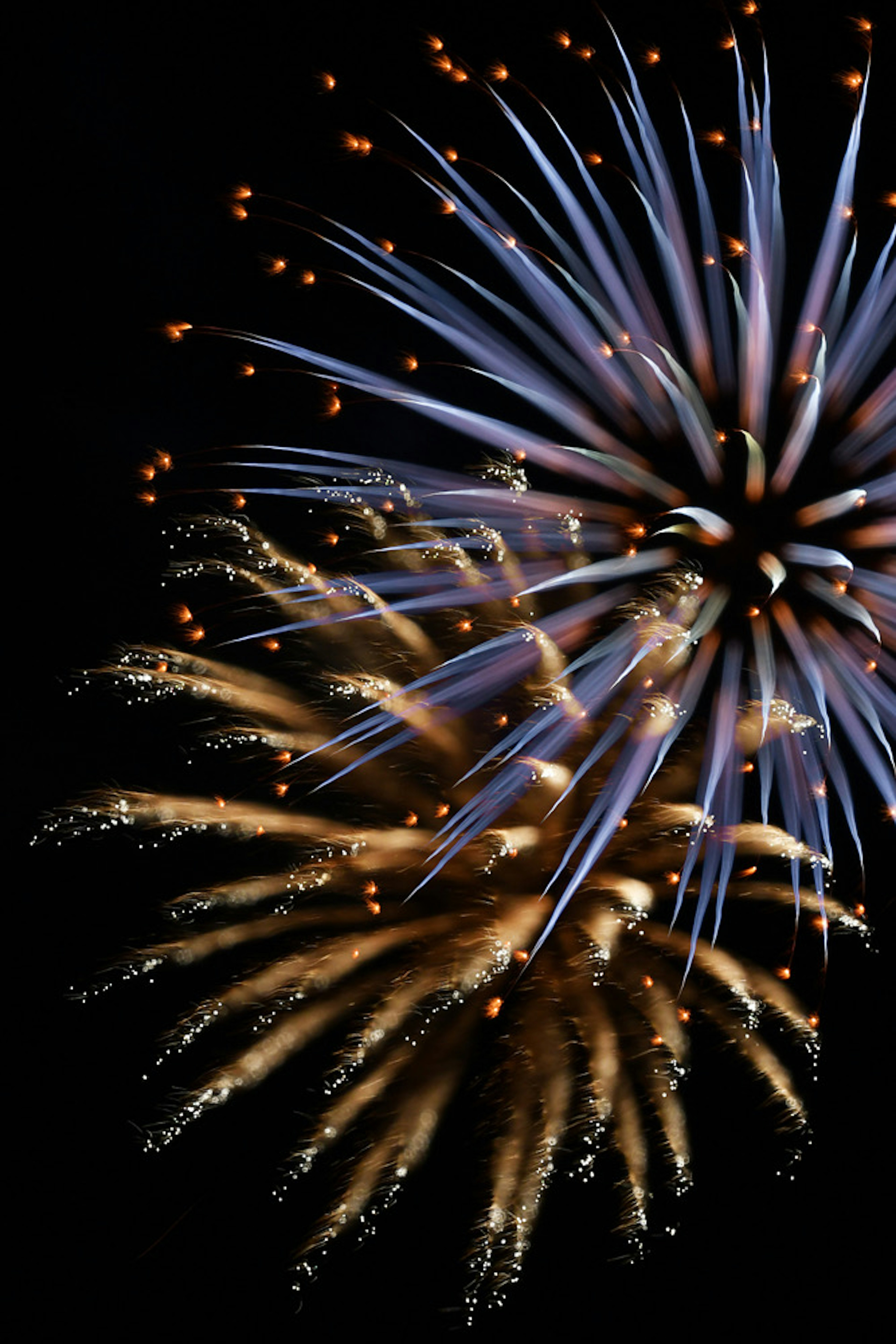 Fuegos artificiales azules y dorados estallando en el cielo nocturno