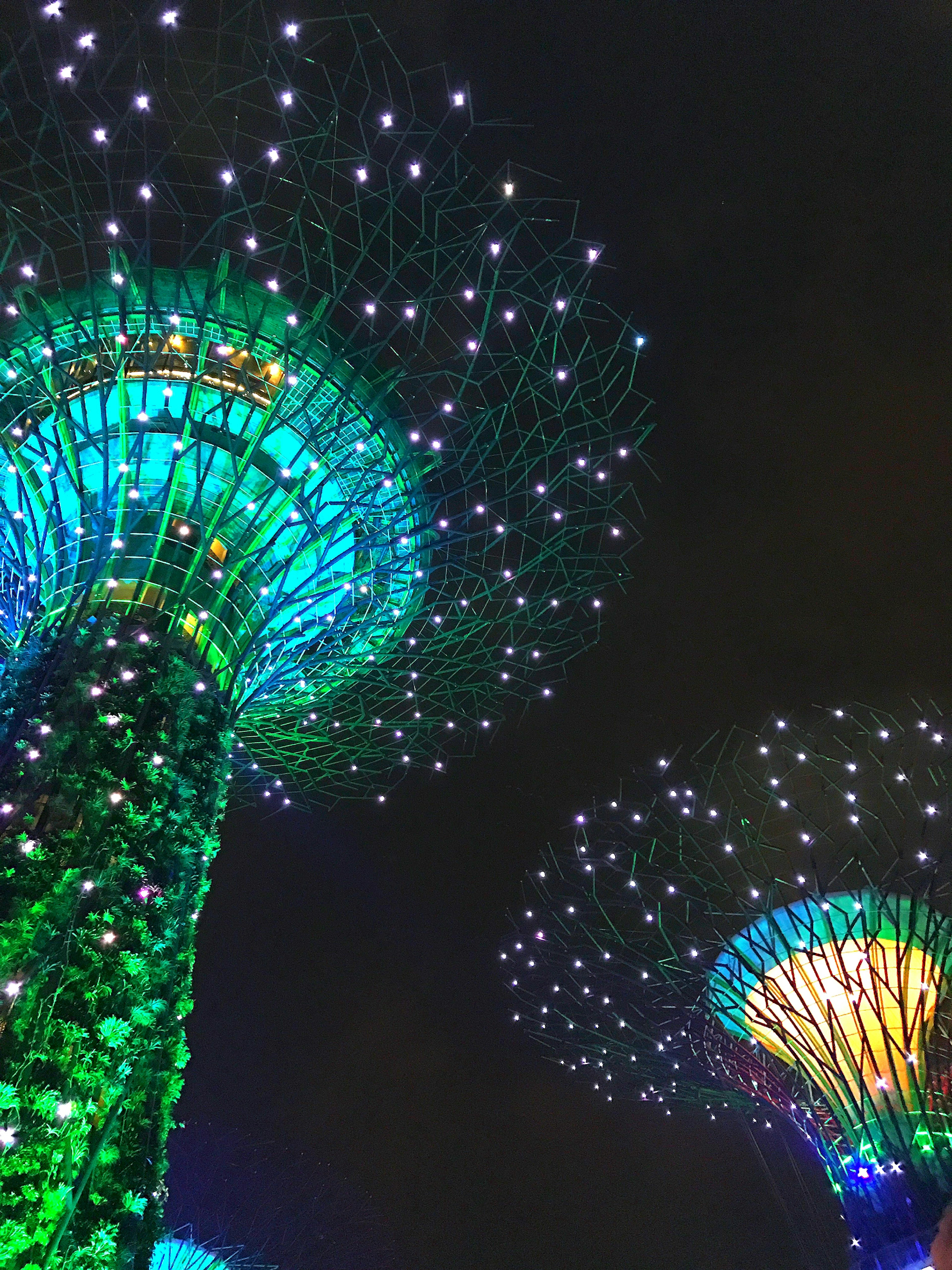 Beleuchtete Supertrees im Gardens by the Bay bei Nacht