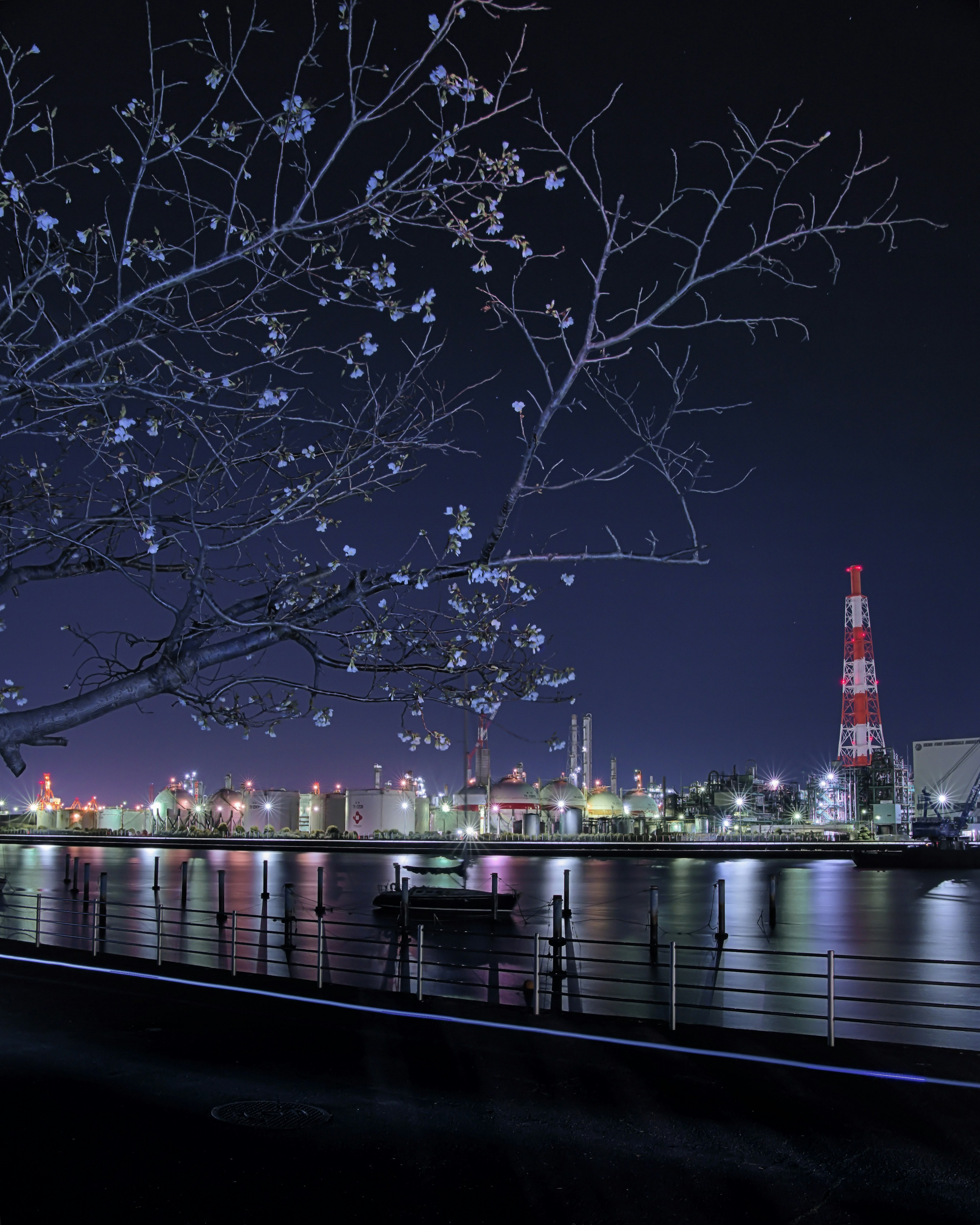 Vue nocturne d'une zone industrielle avec une branche de cerisier