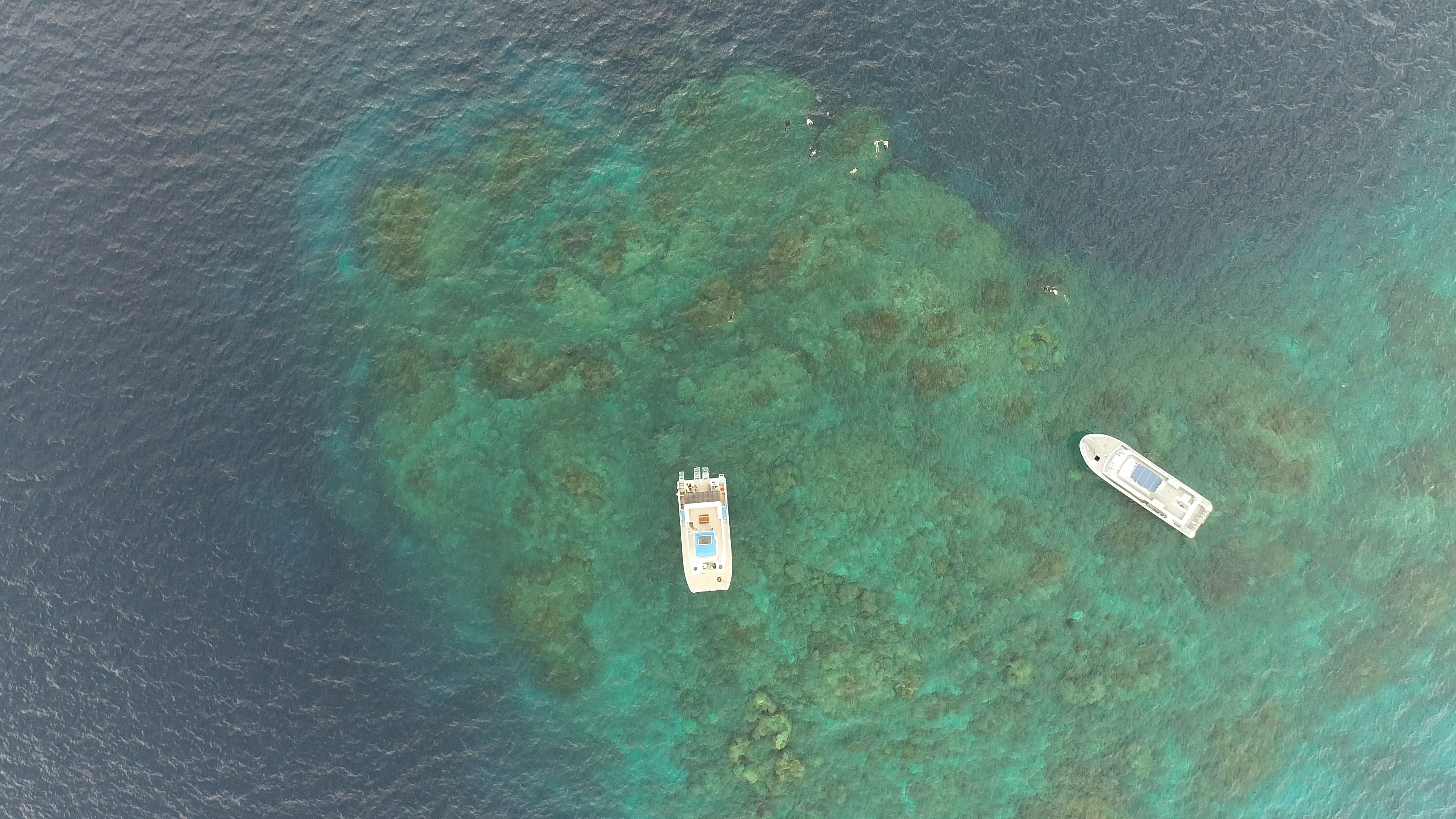 Dos barcos flotando sobre un arrecife de coral en agua azul clara