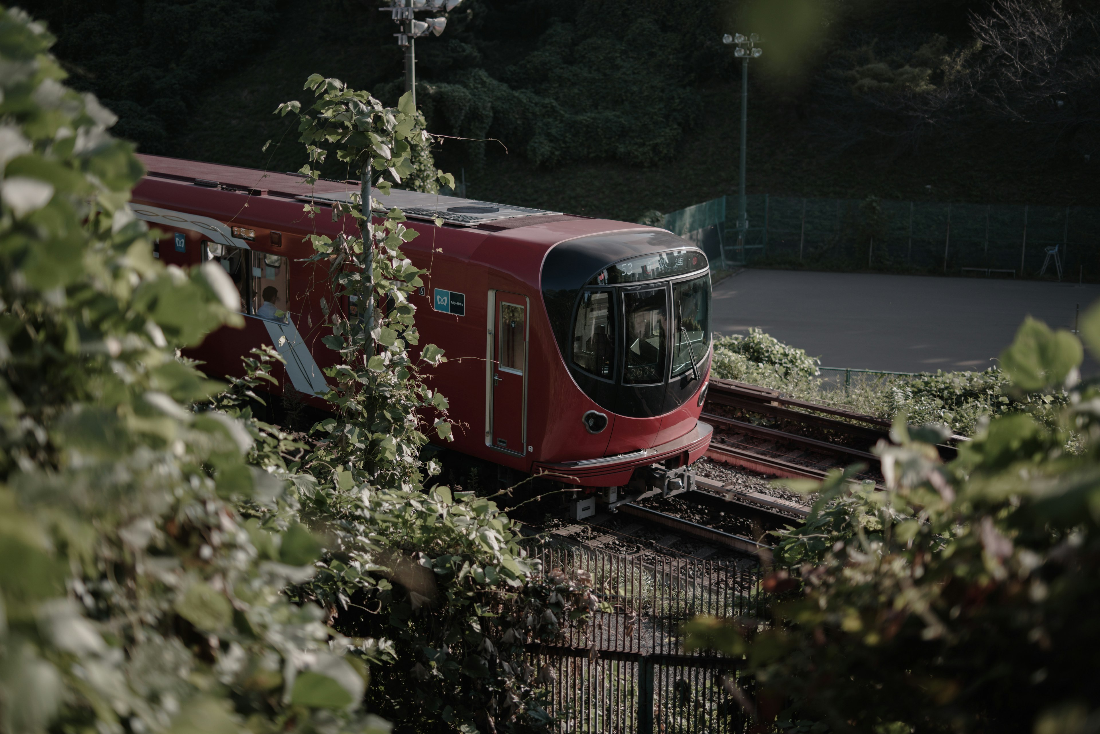 Tren rojo navegando por rieles cubiertos de vegetación verde