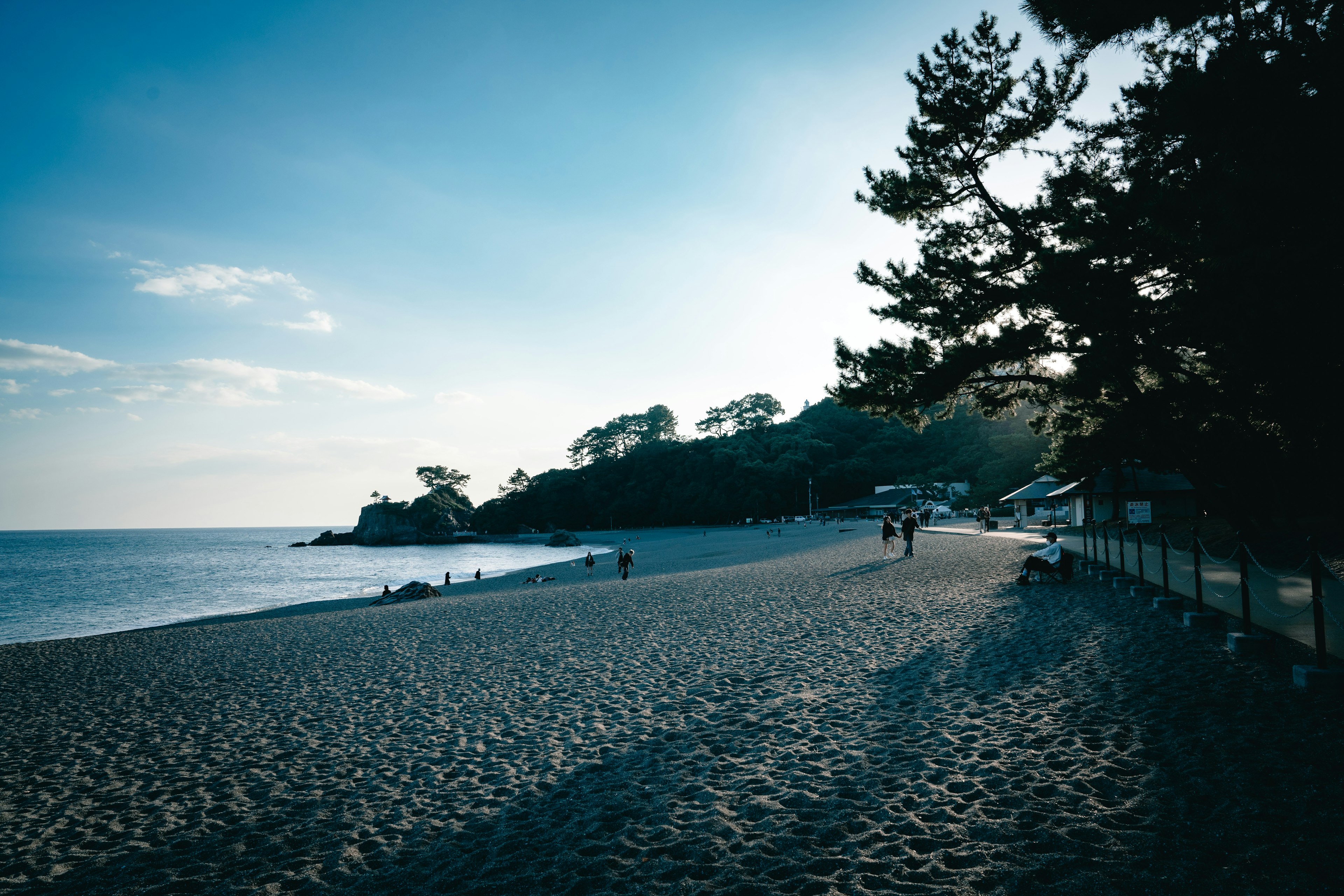 Scena di spiaggia calma con cielo blu e alberi in lontananza