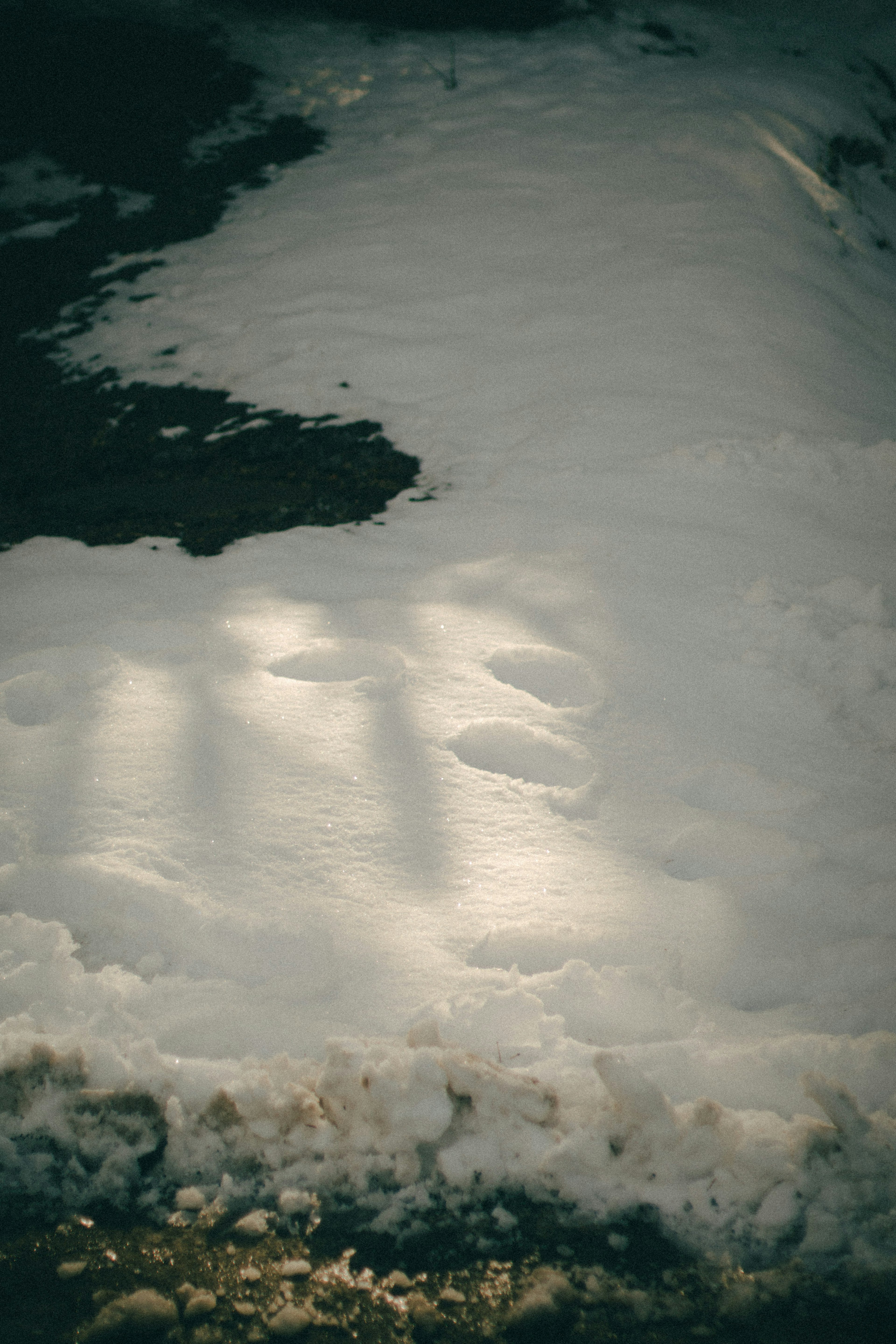 雪の上に映る影と足跡の写真