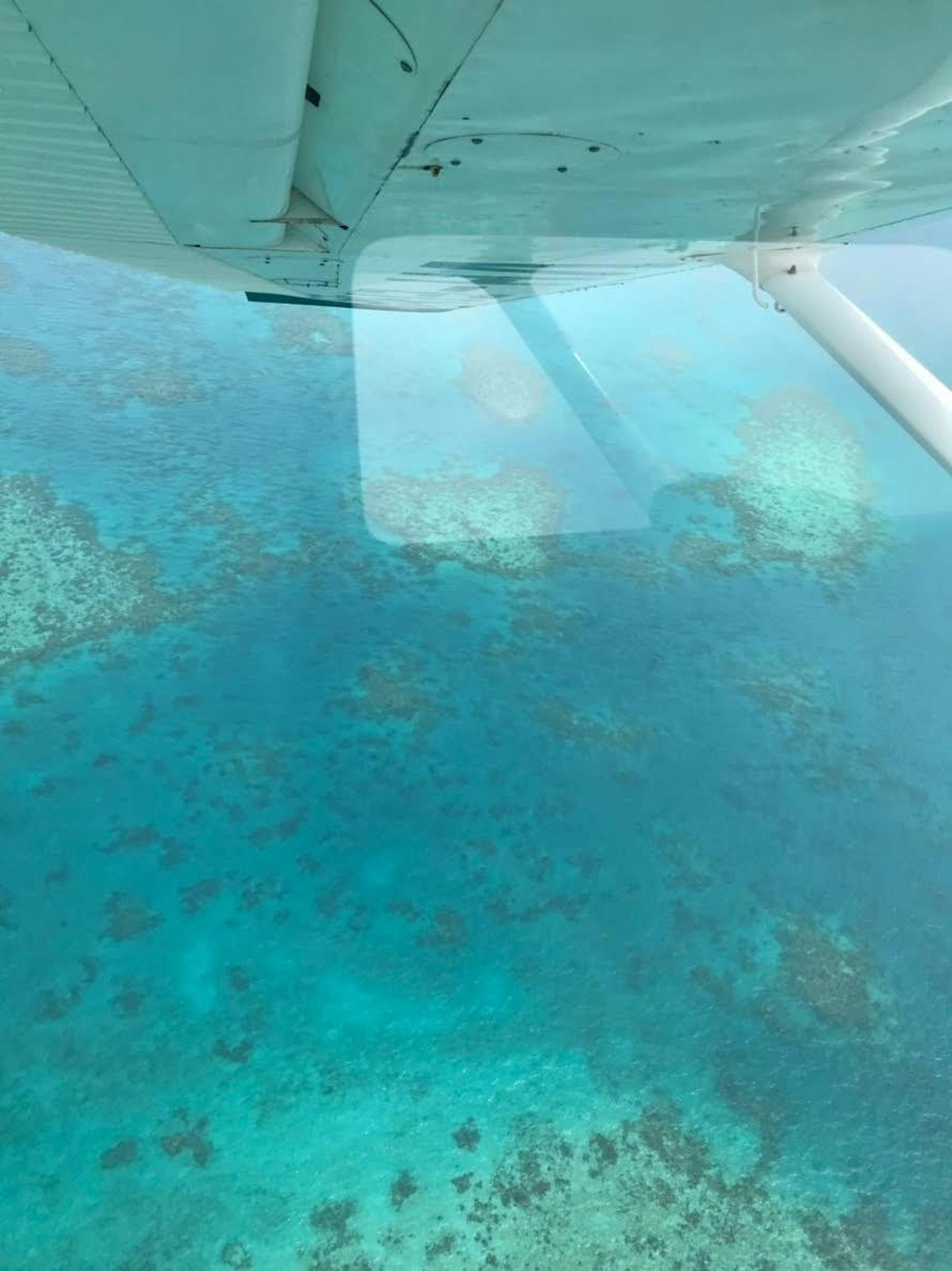 Blick auf den blauen Ozean und Korallenriffe aus einem Flugzeugfenster