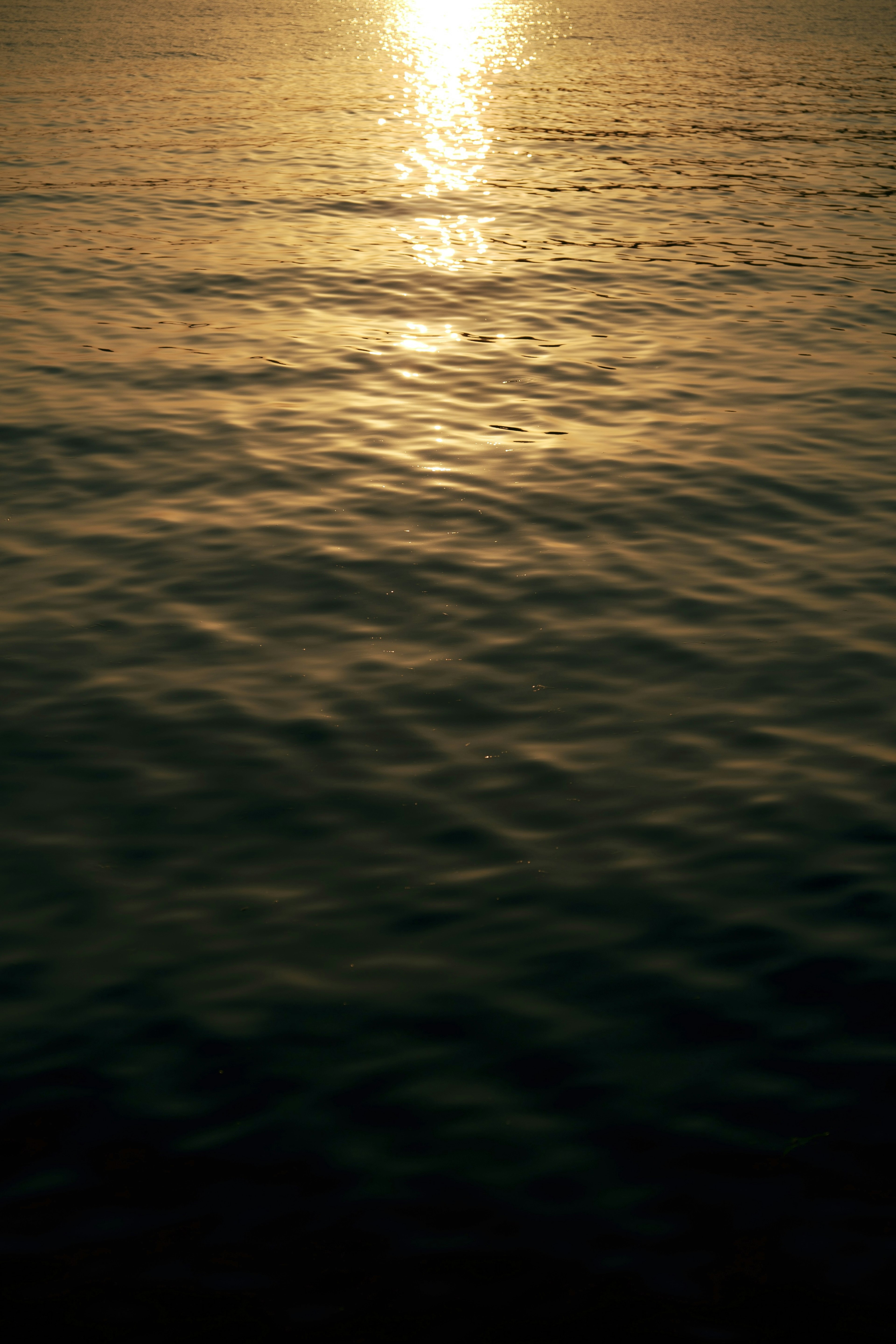 Luz dorada del sol reflejándose en la superficie del agua tranquila