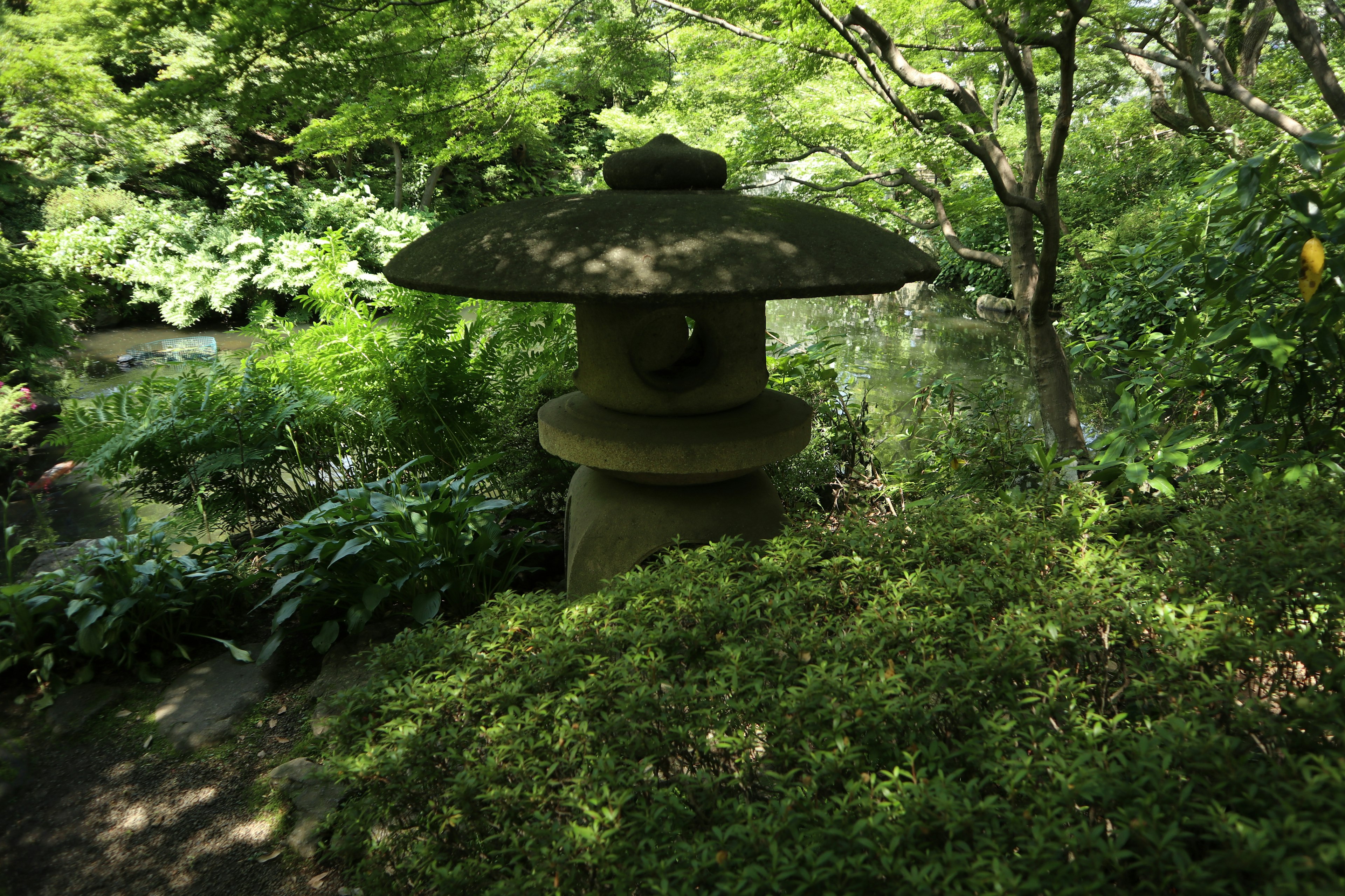 Stone lantern surrounded by lush greenery in a tranquil garden