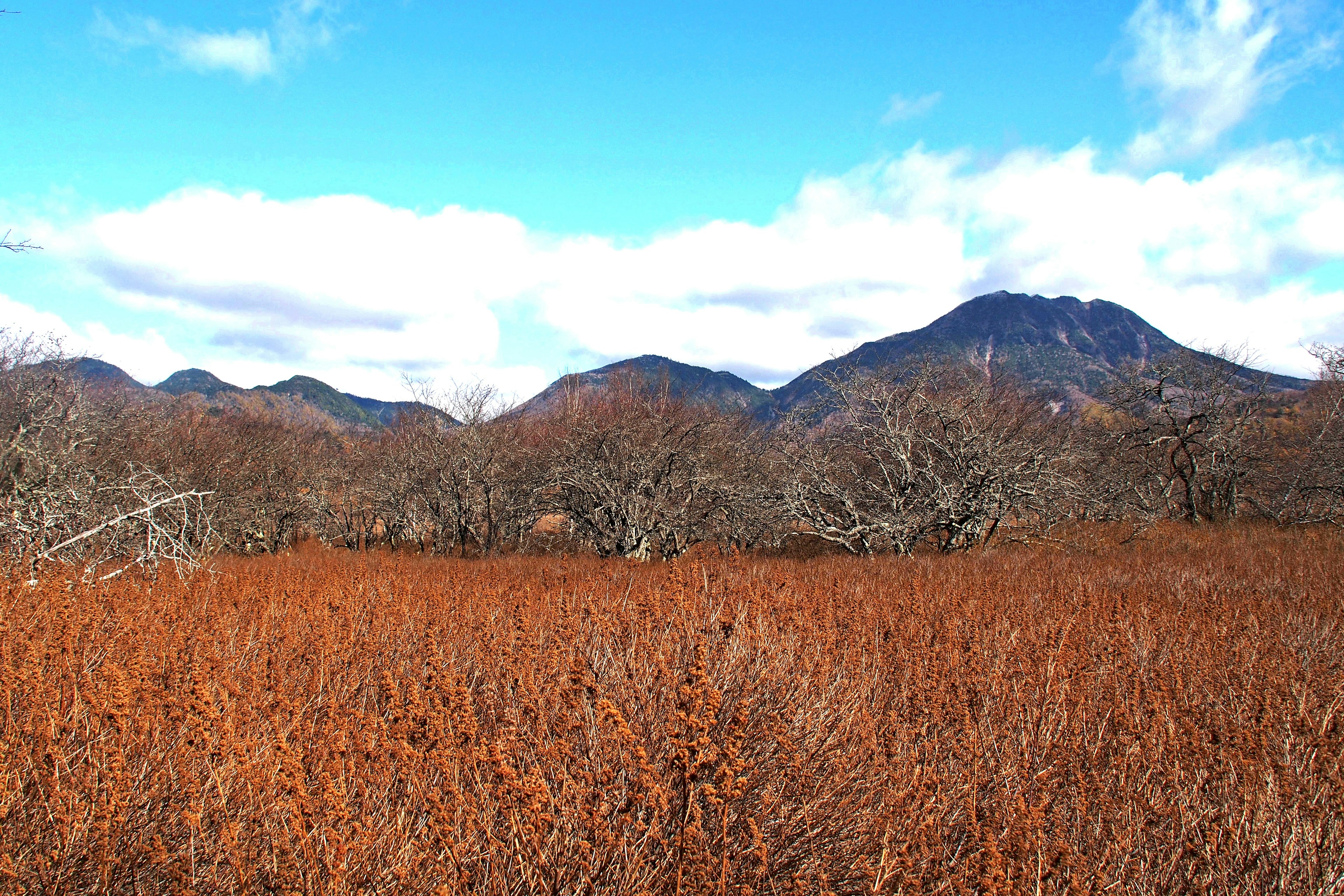 秋の風景の中に広がるオレンジ色の草原と山々