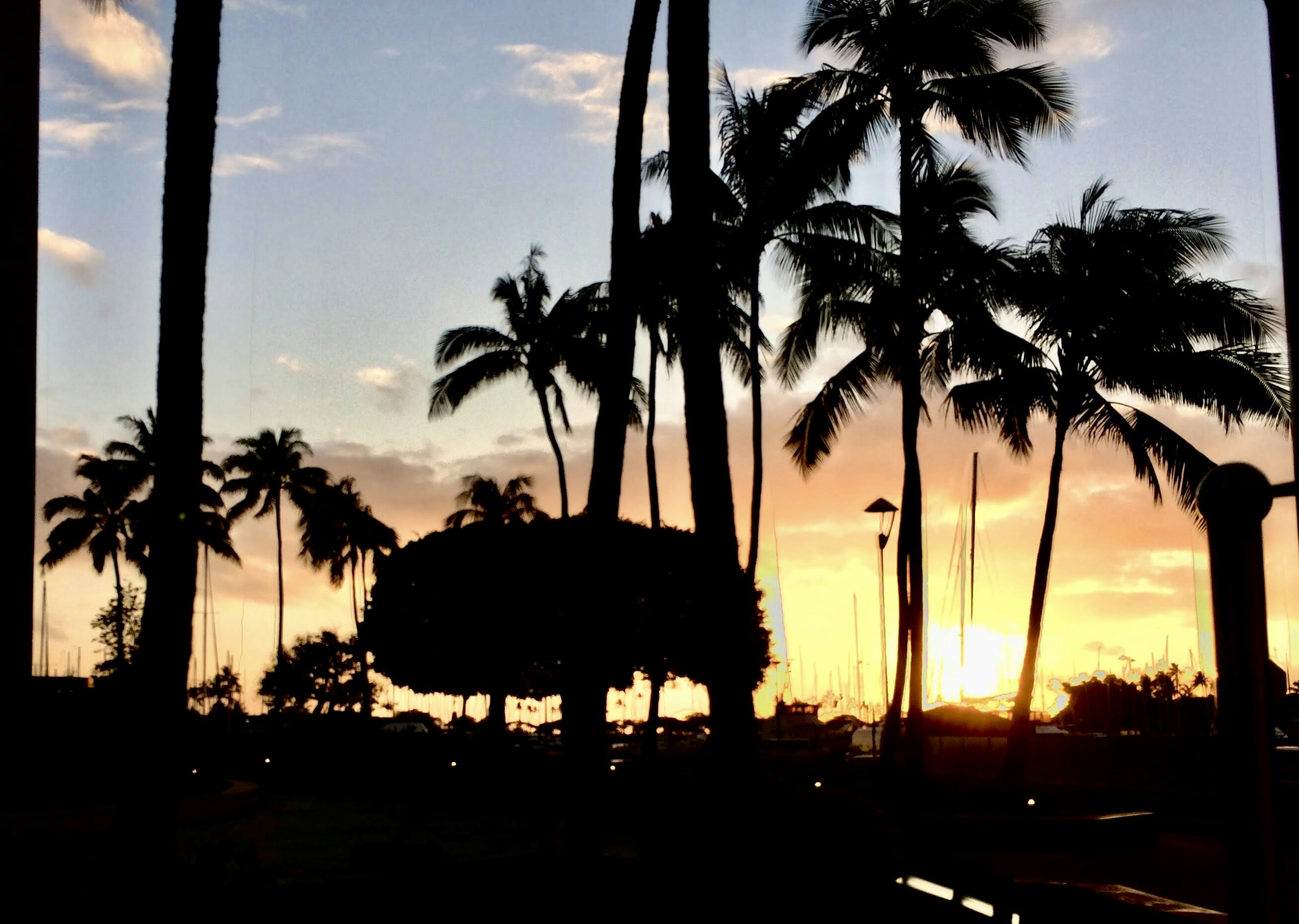 Hermoso paisaje de atardecer con palmeras