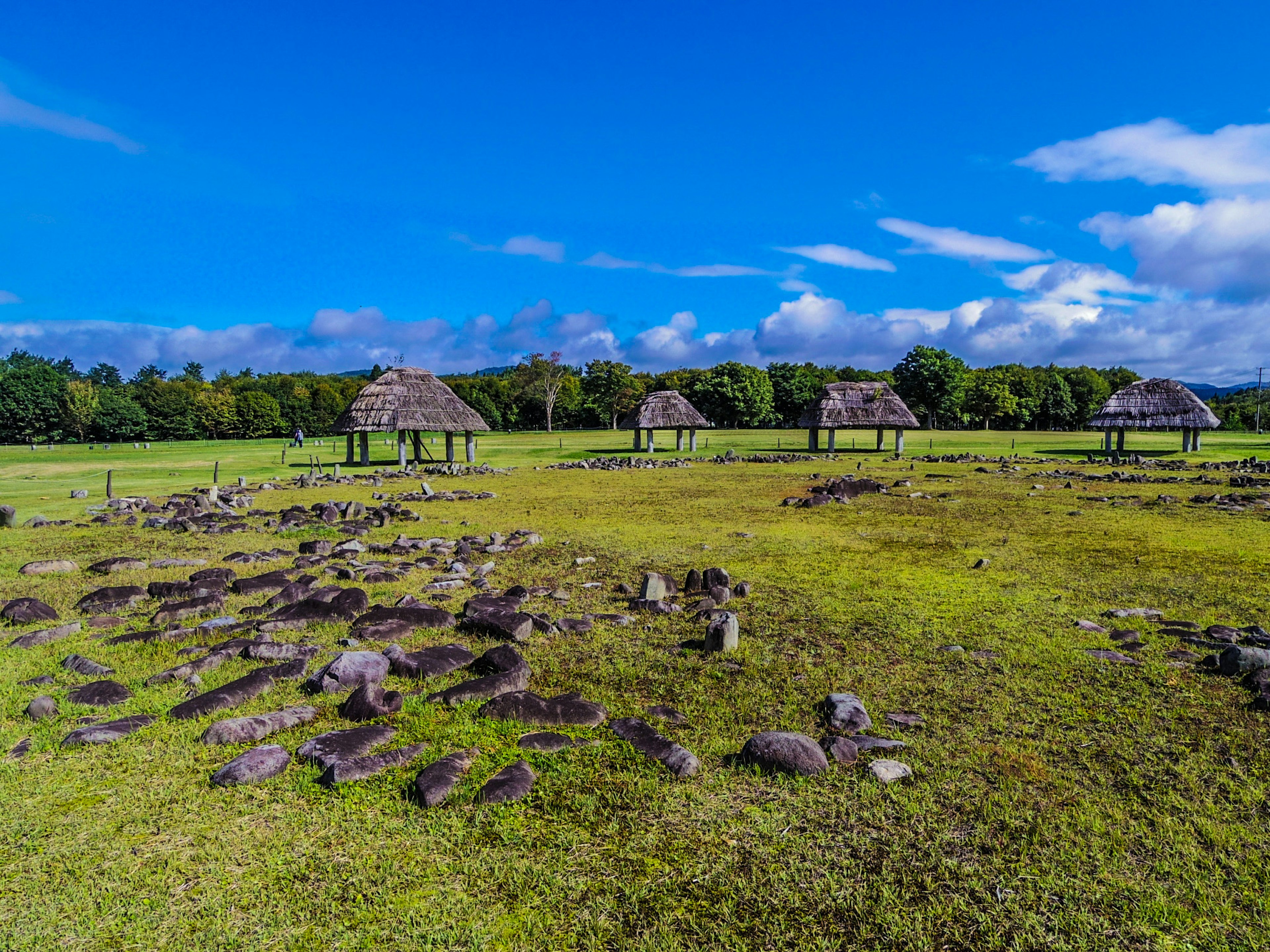 Offenes Grasfeld mit Steinruinen und Hütten unter blauem Himmel