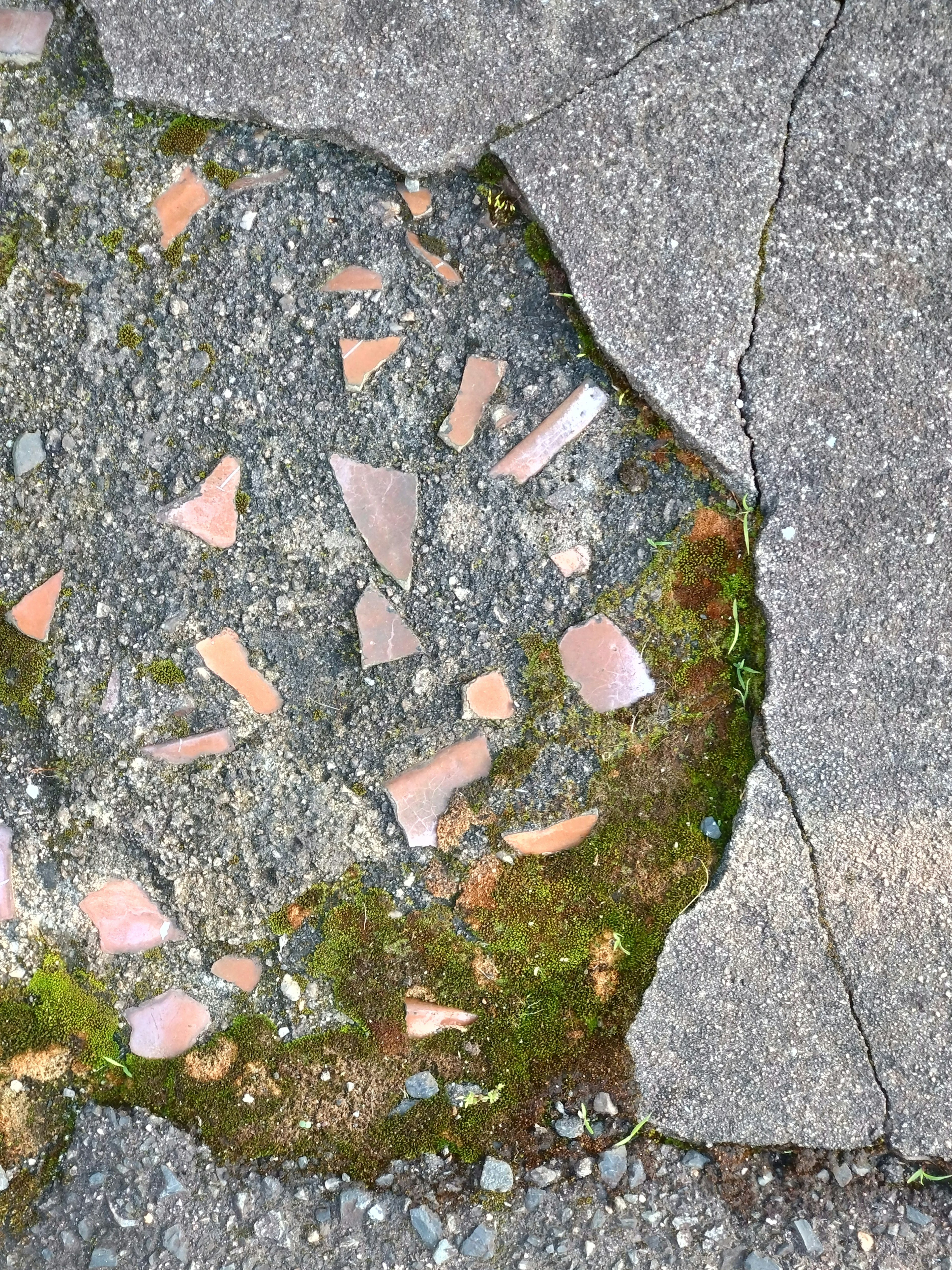 舗装された地面に埋め込まれた色とりどりの小石と植物