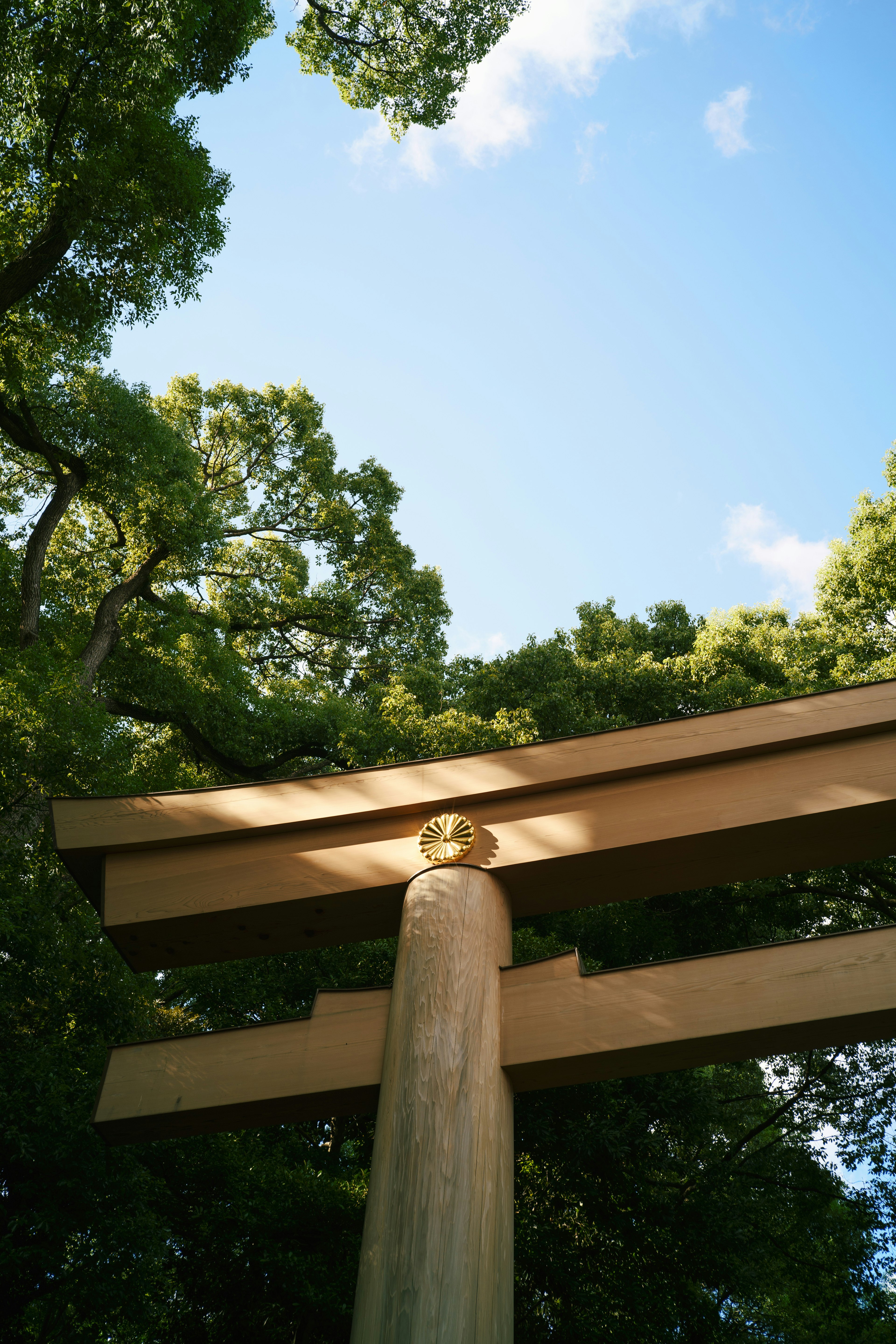 青空と緑の木々に囲まれた鳥居の下からの眺め