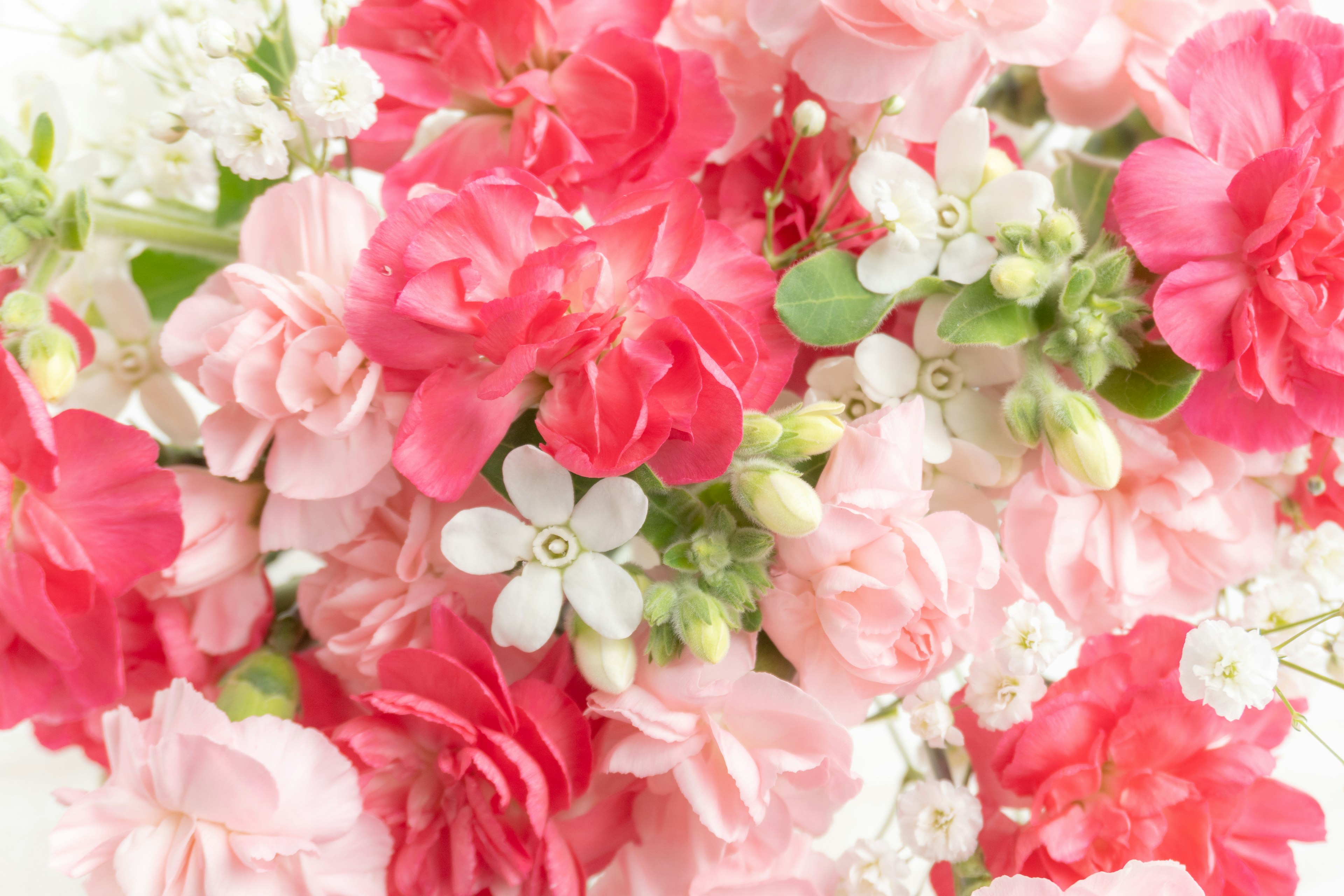 Un hermoso arreglo de flores coloridas con varias tonalidades de rosa y blanco