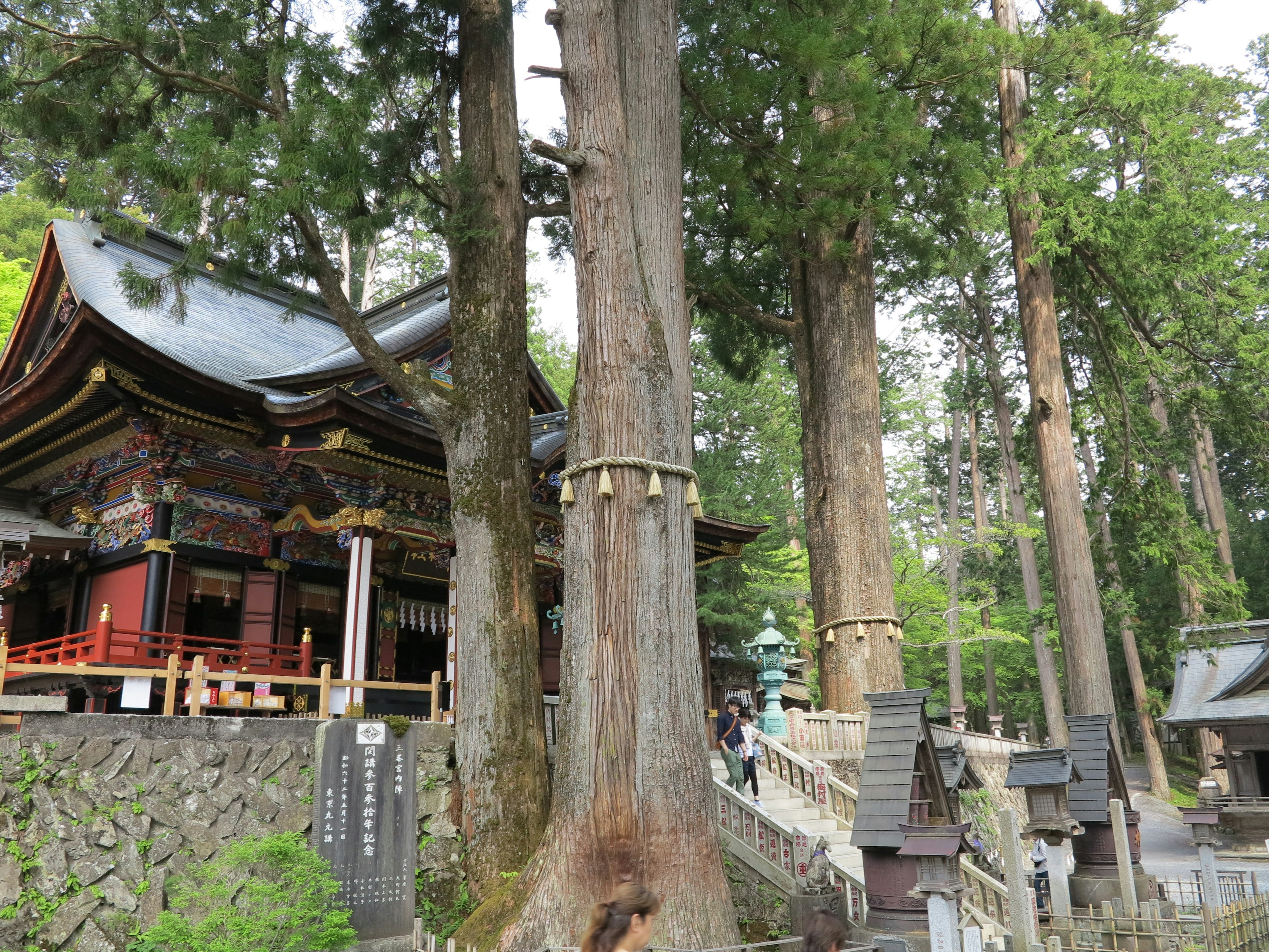 神社と古い木々が立ち並ぶ風景