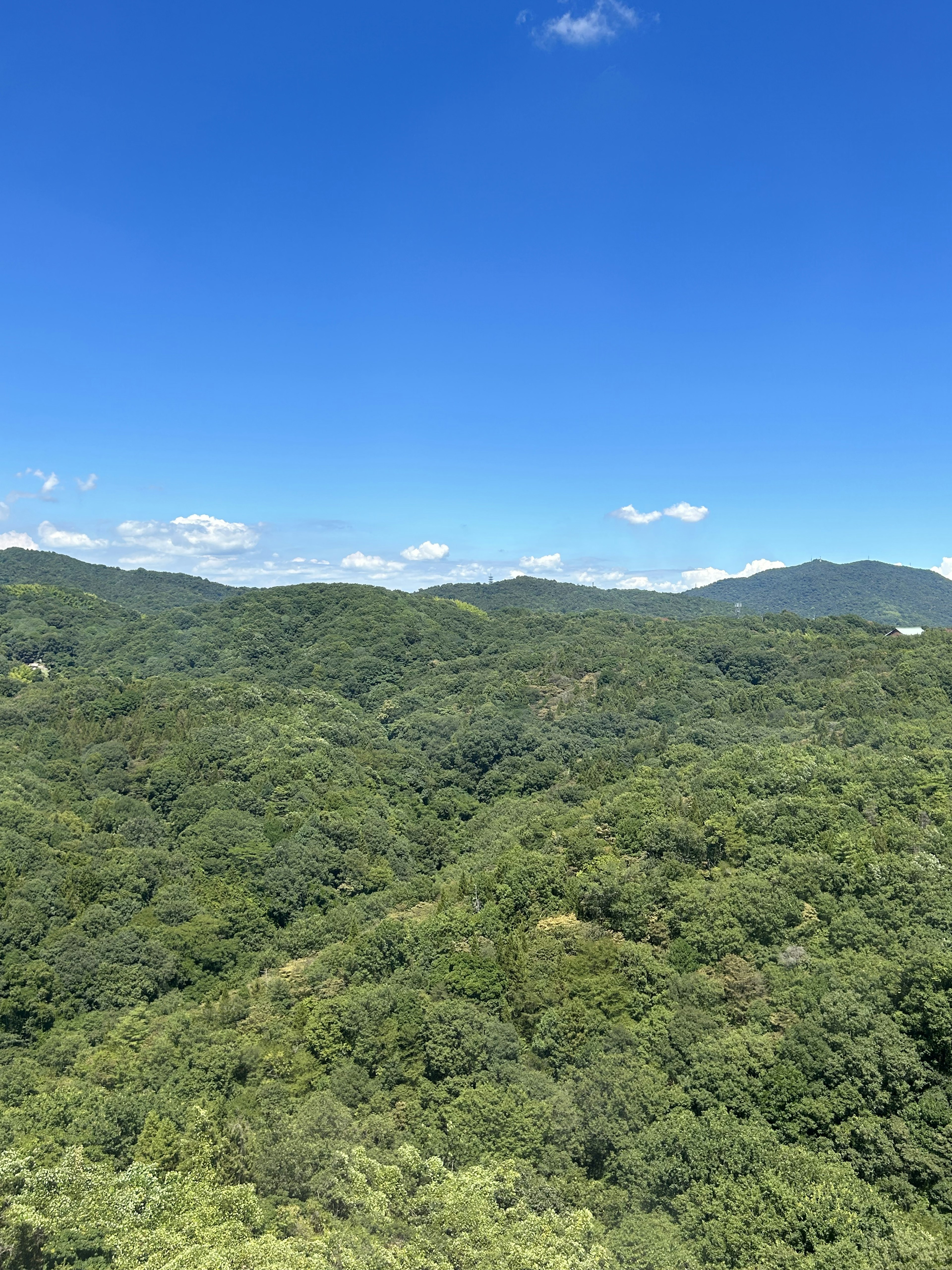 Lush green mountains under a clear blue sky