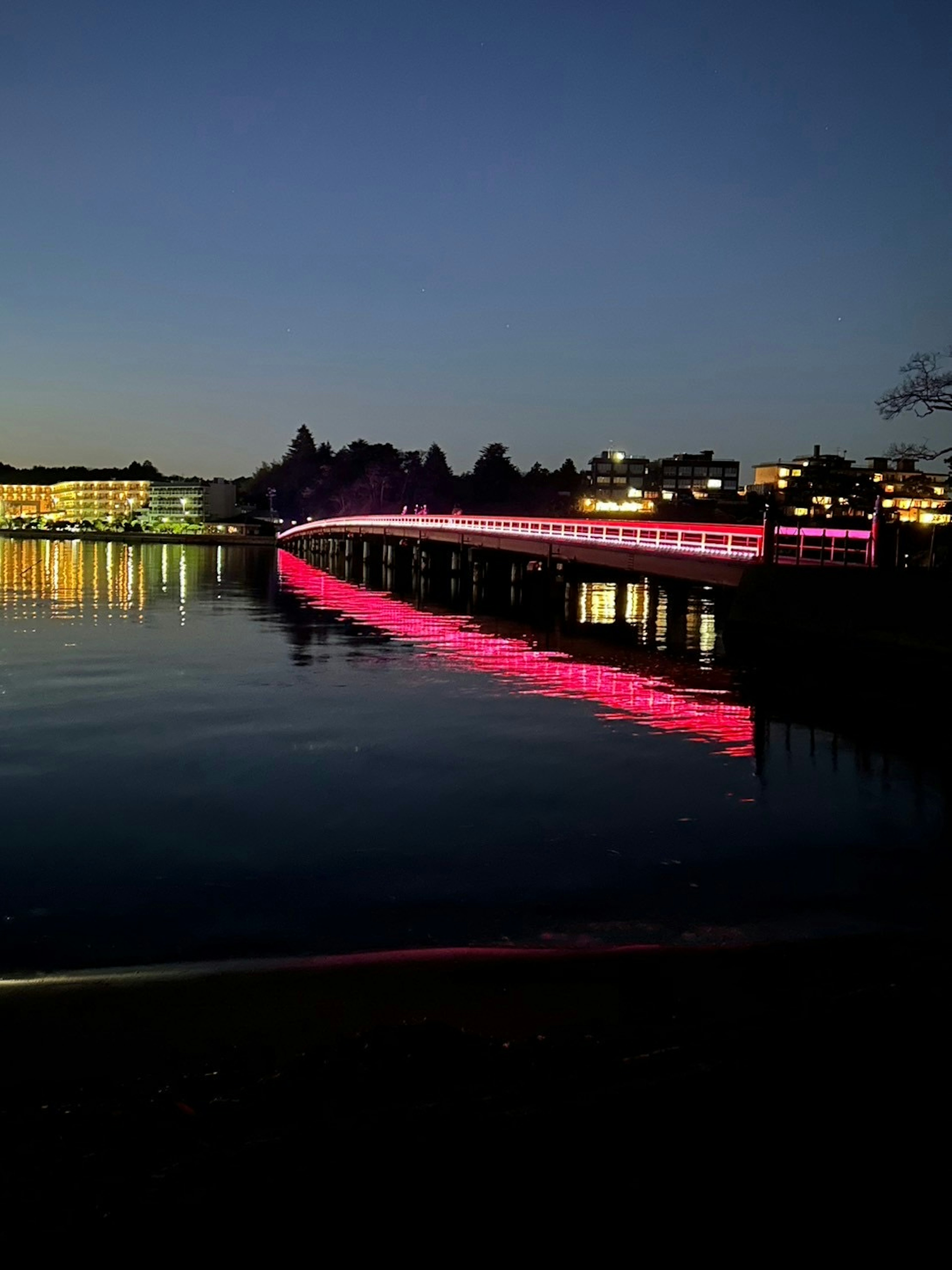 Un puente iluminado con luces rosas reflejado en un lago por la noche