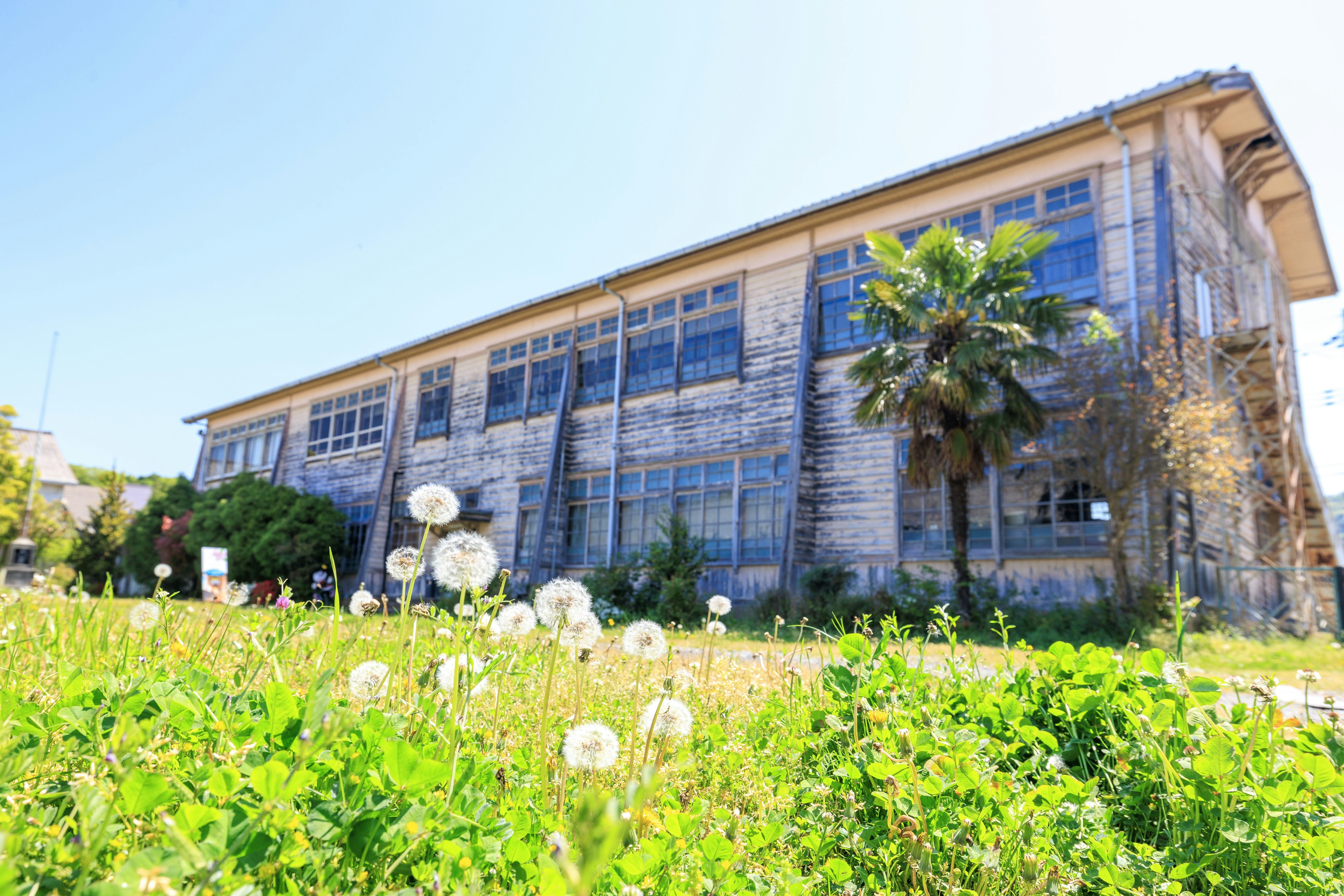 Esterno di un vecchio edificio industriale circondato da vegetazione e dente di leone