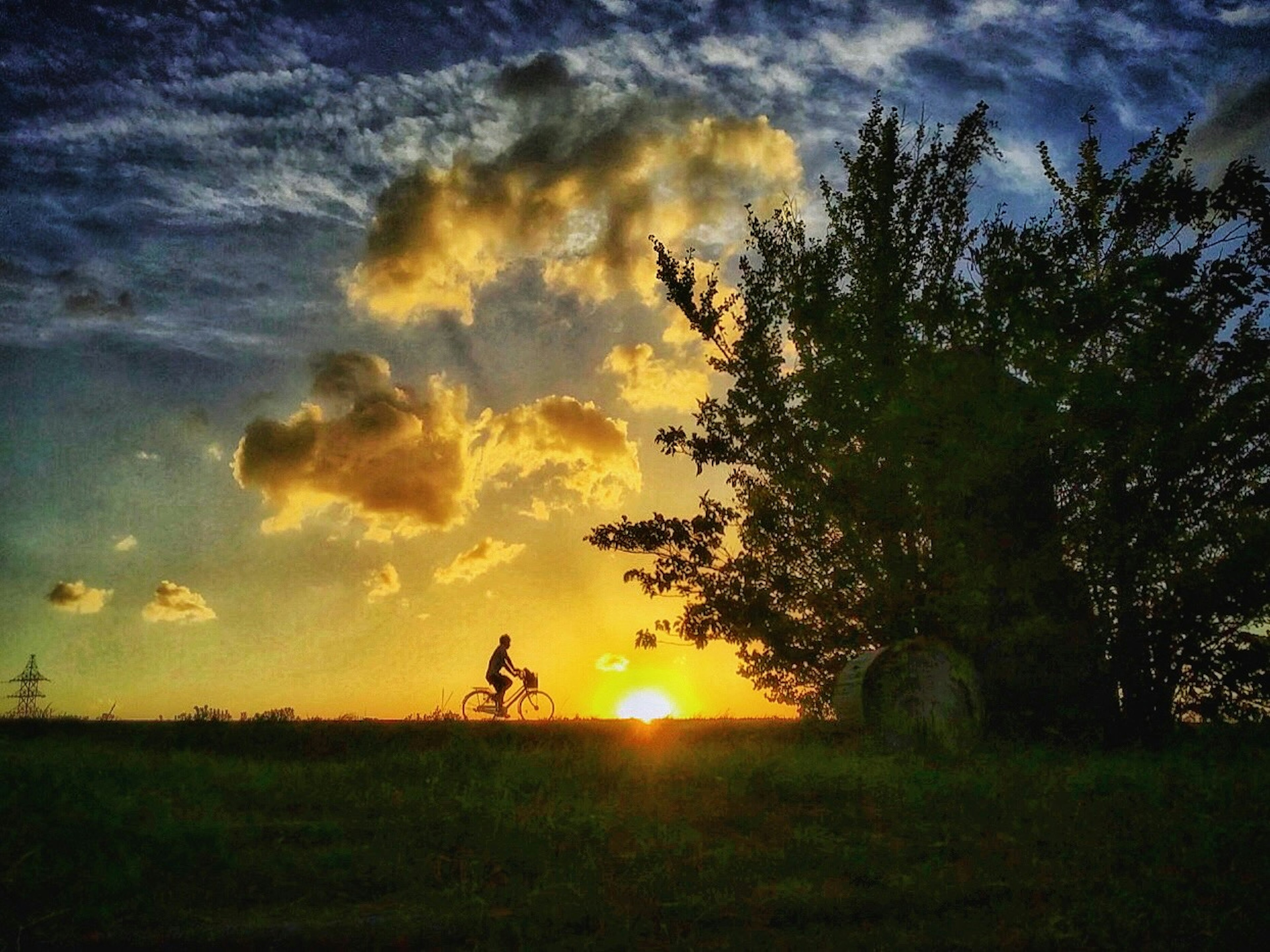 夕日をバックに自転車に乗る人と木々のシルエット