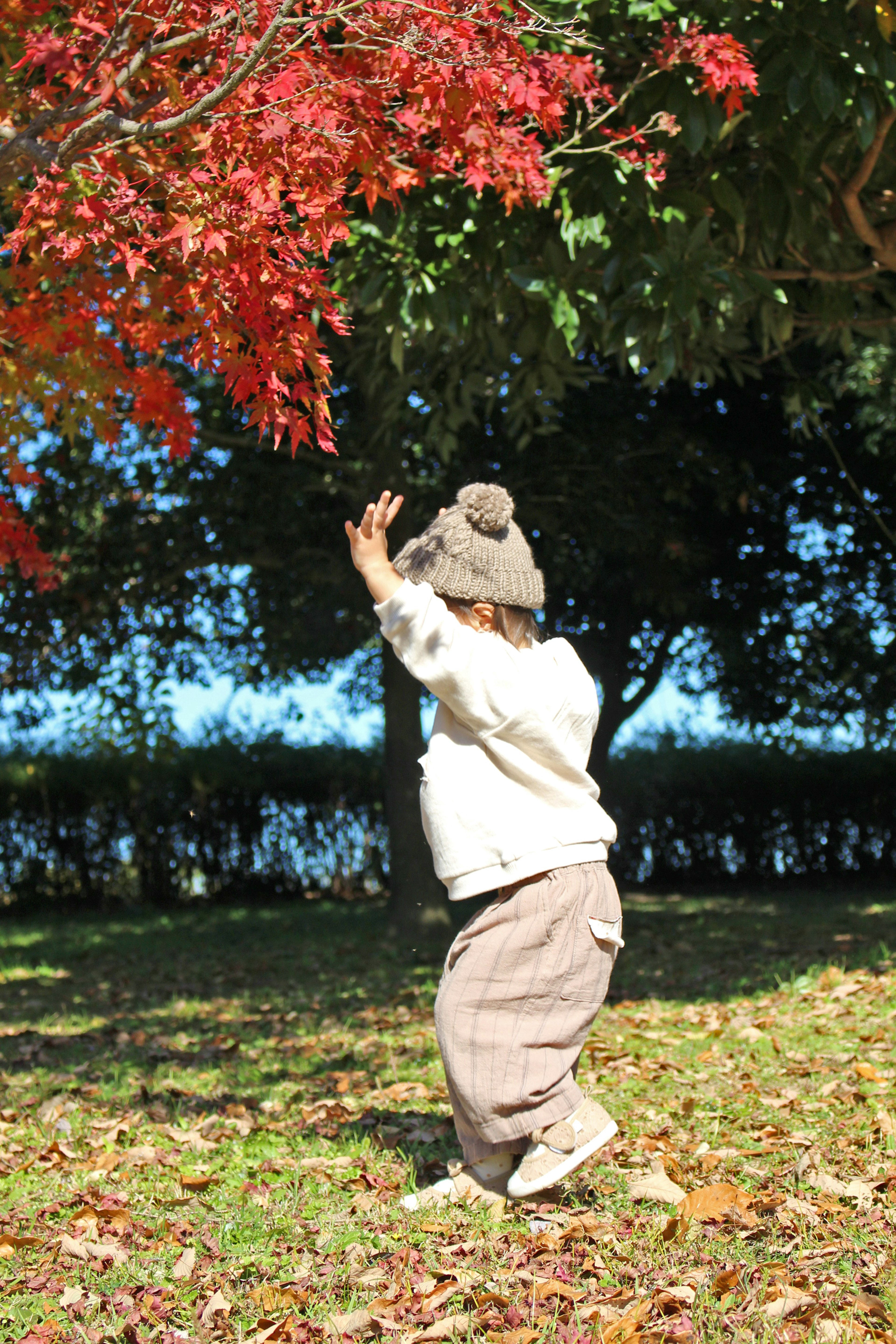 Enfant jouant sous un arbre avec des feuilles rouges