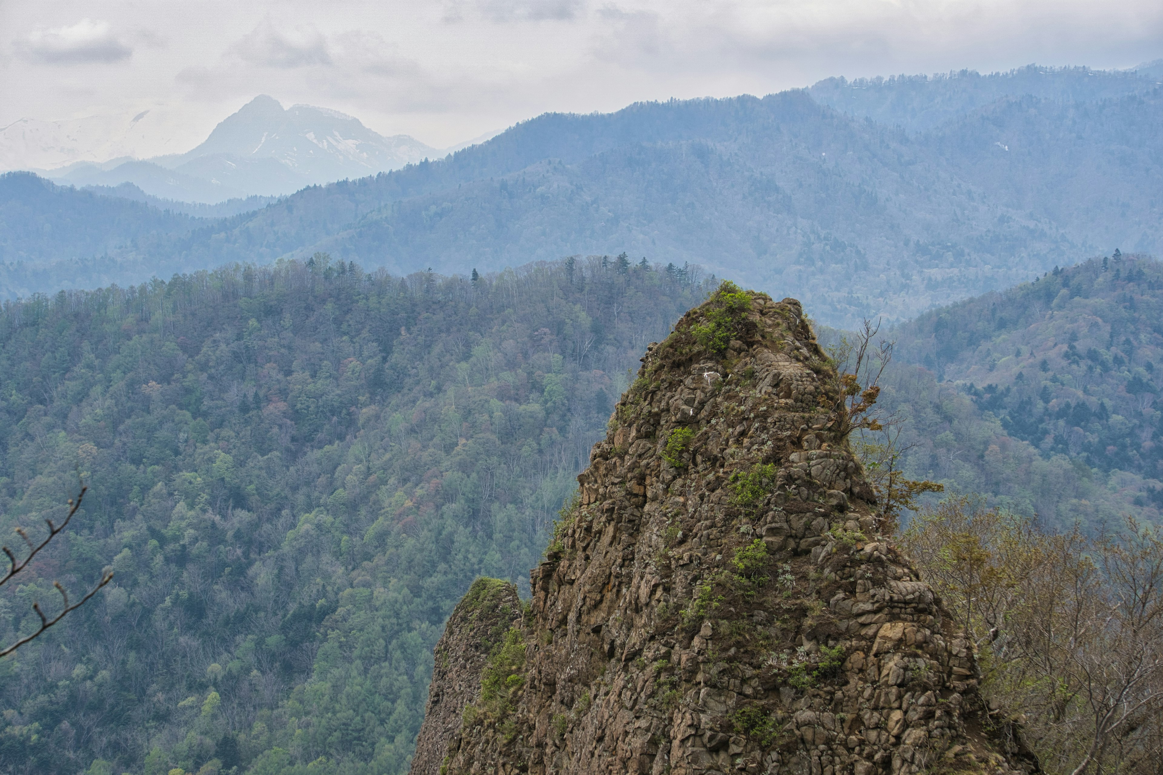 Imagen de un pico montañoso con paisaje verde