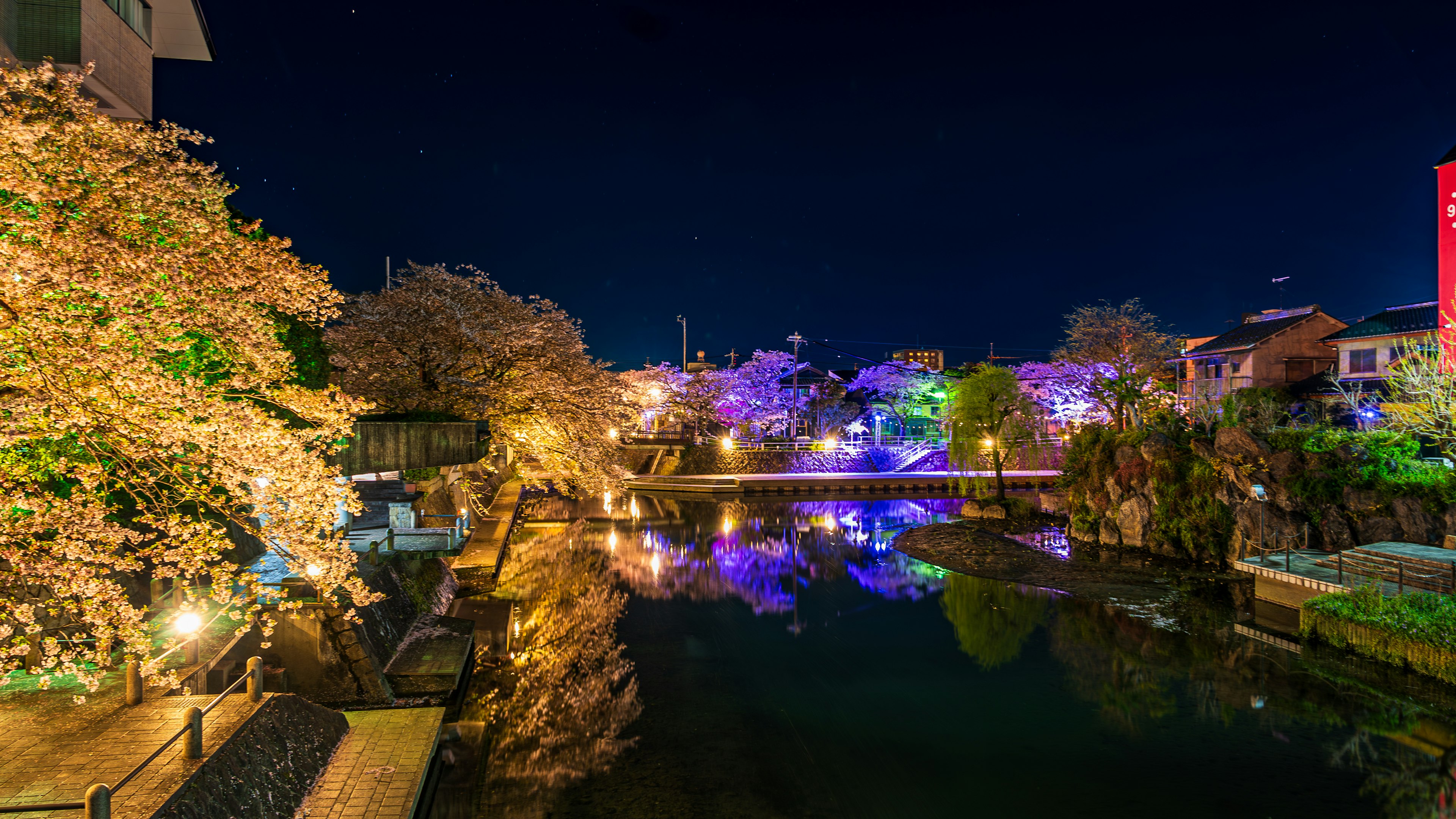 Vista nocturna de los cerezos a lo largo del río