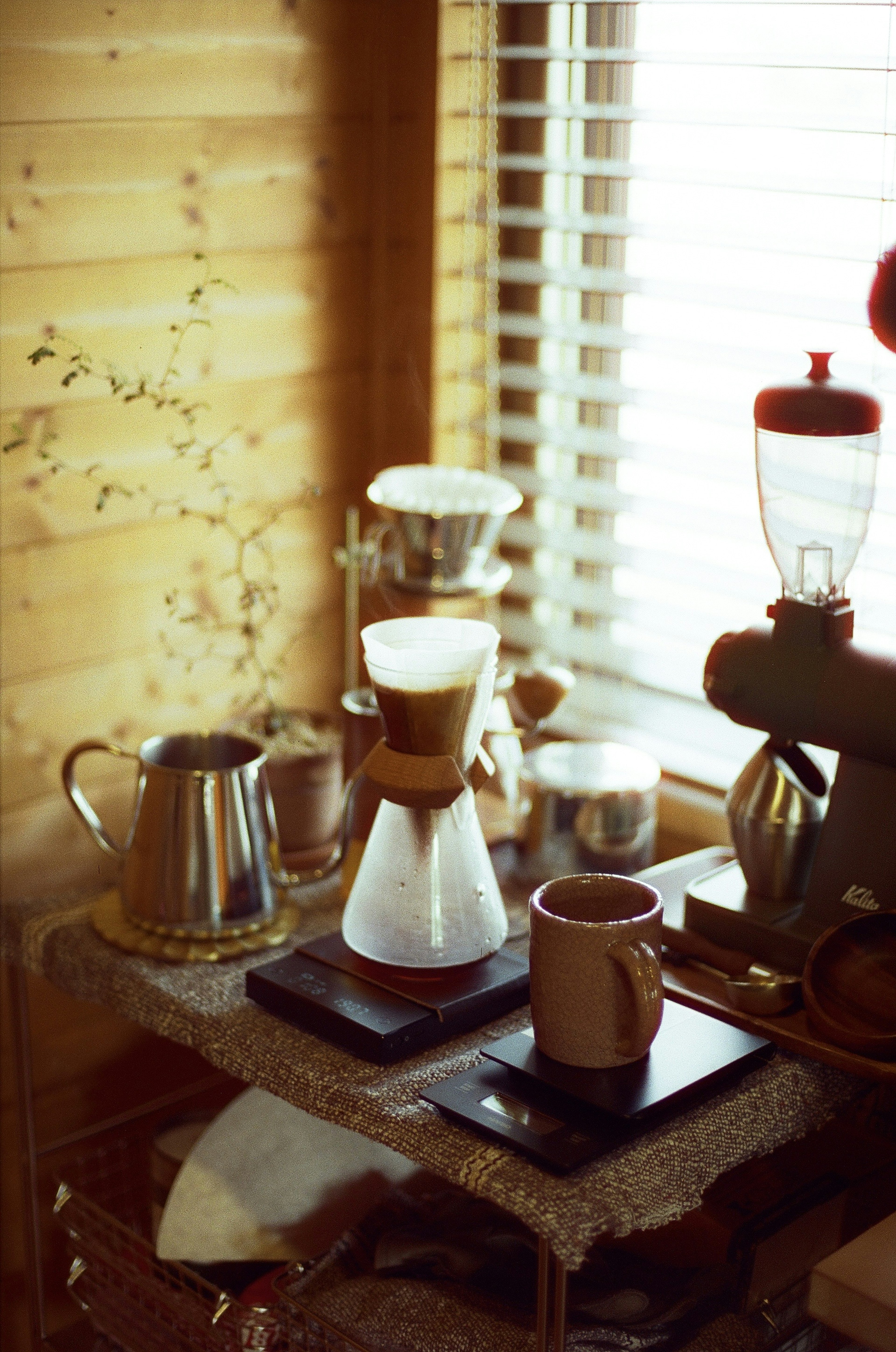 木製の壁の近くにコーヒー器具が並ぶカフェの内部