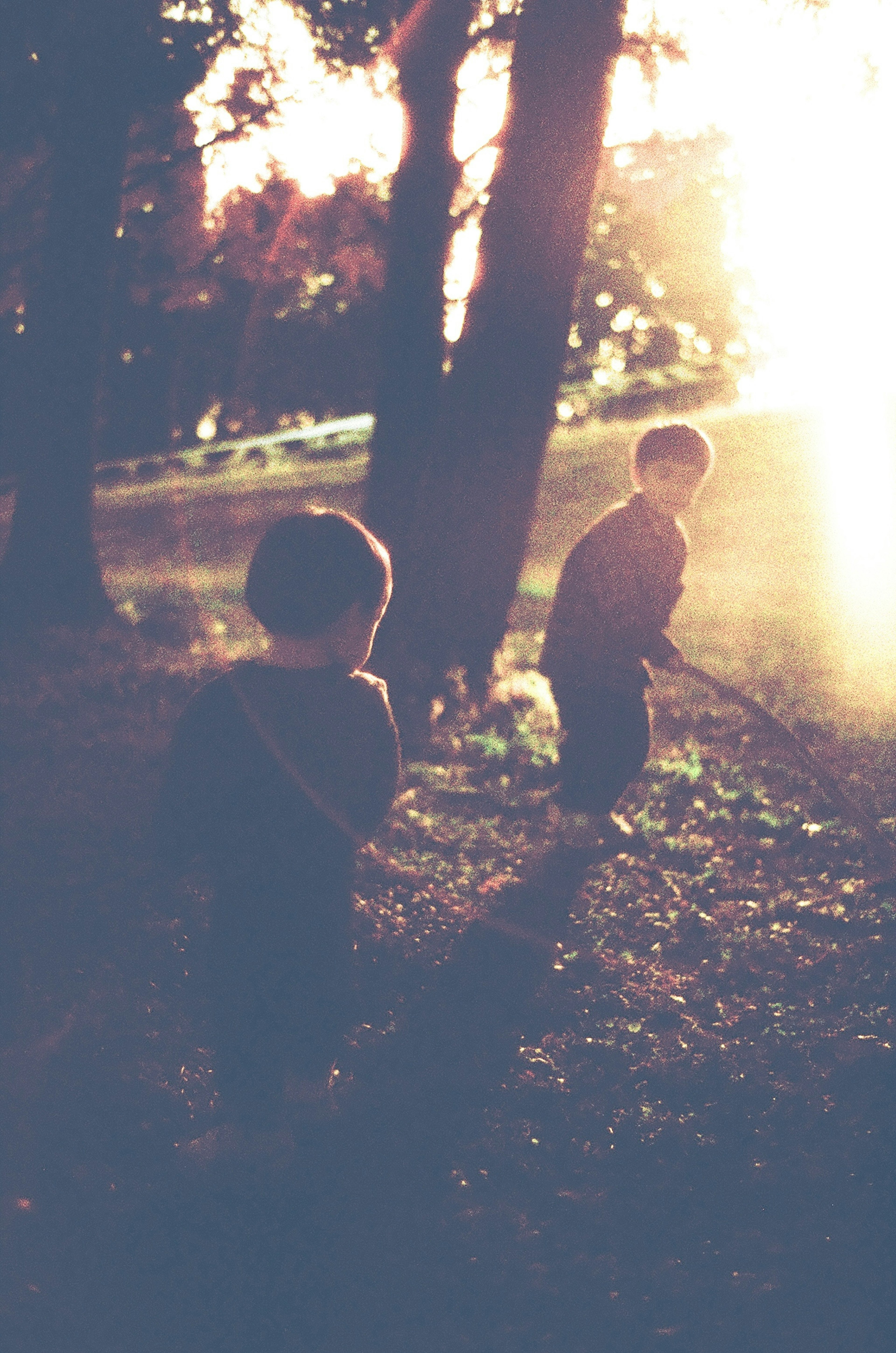 Due bambini che camminano in una foresta con la luce del sole dietro di loro