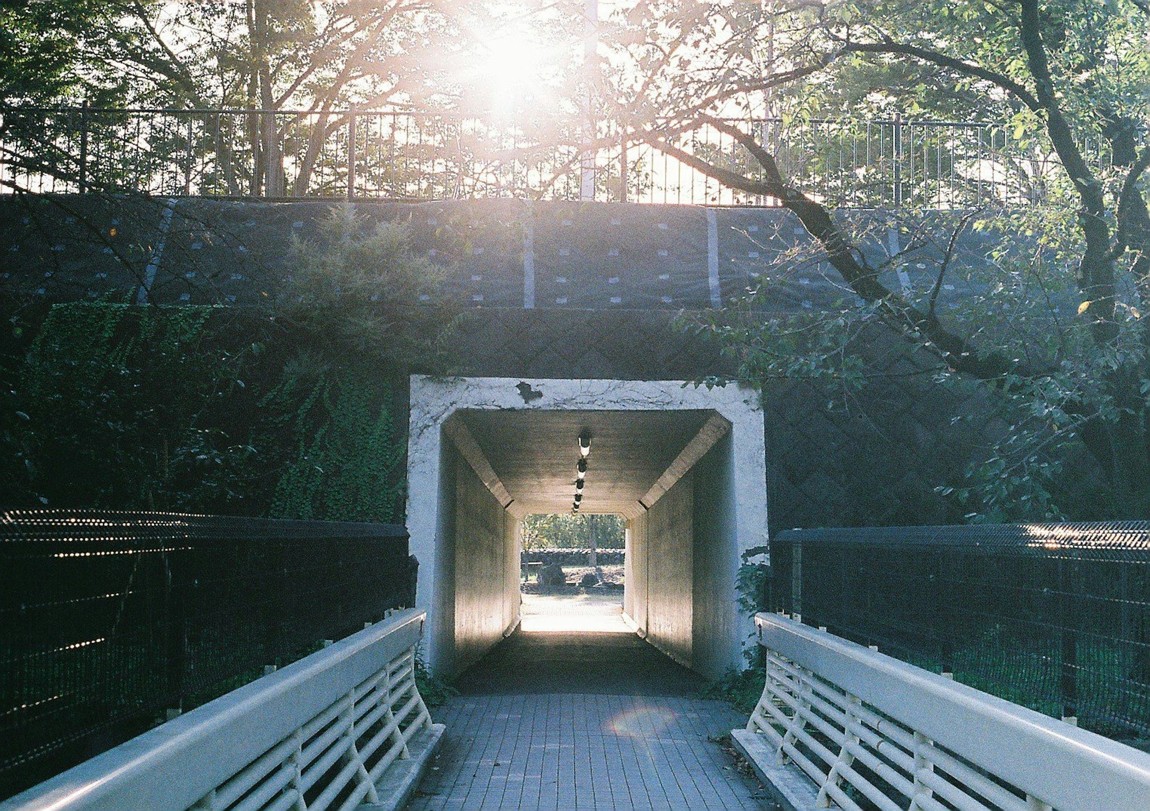 Vista pittoresca dell'ingresso di un tunnel con luce solare che entra