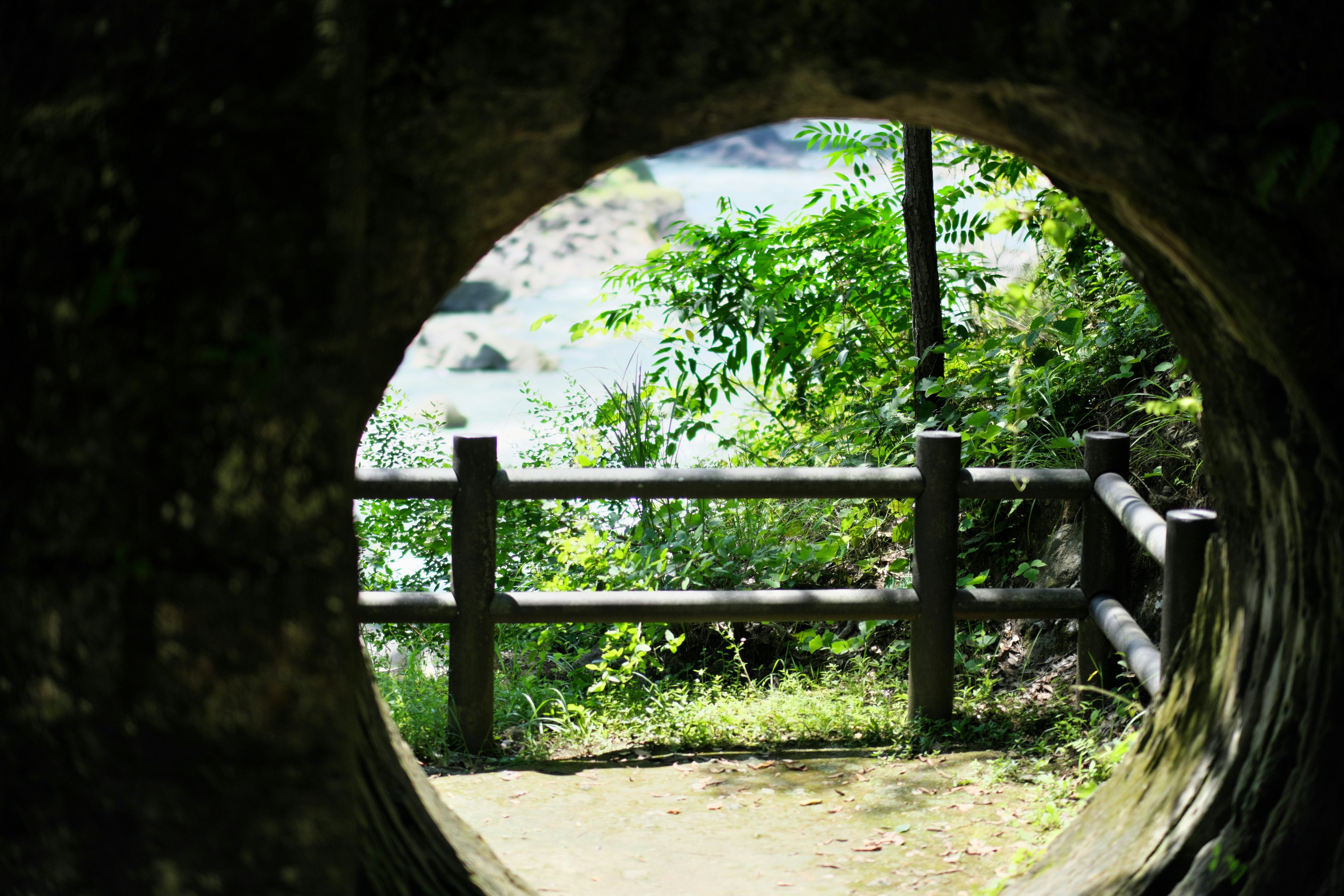 木のトンネルから見える緑豊かな風景と木製フェンス