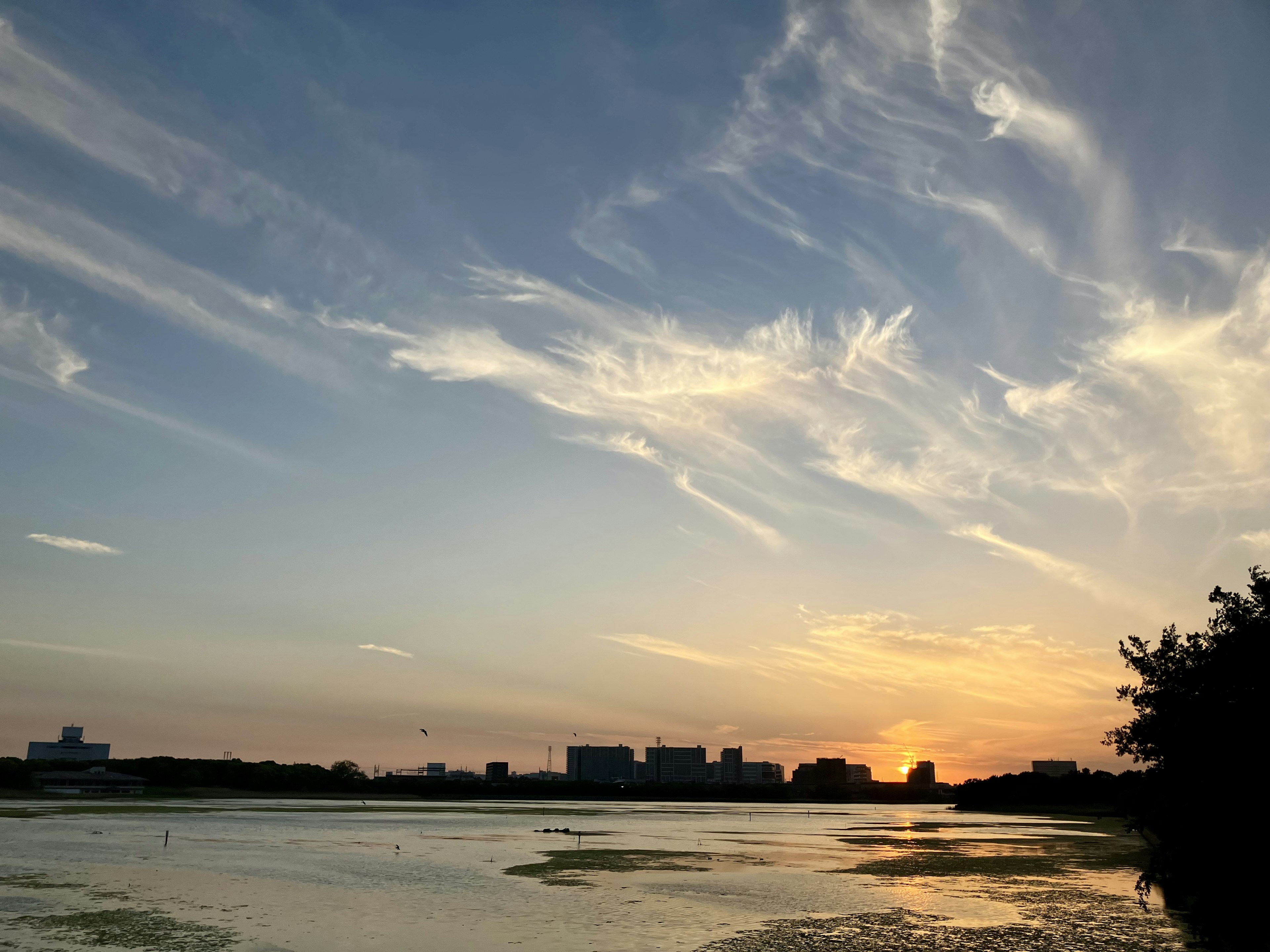 美しい夕焼けの空と水面を映す風景