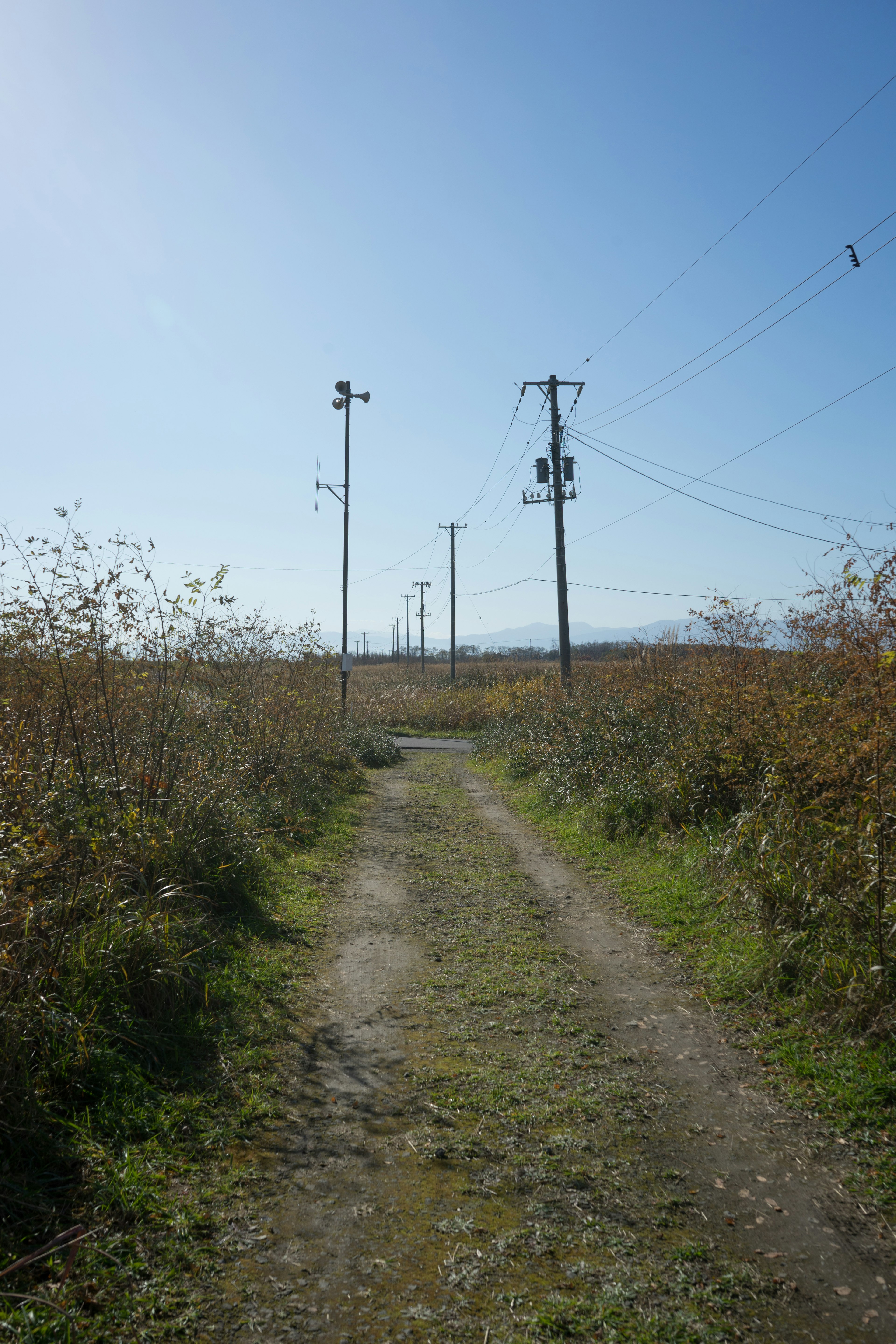 Sendero rural bajo un cielo azul con postes eléctricos