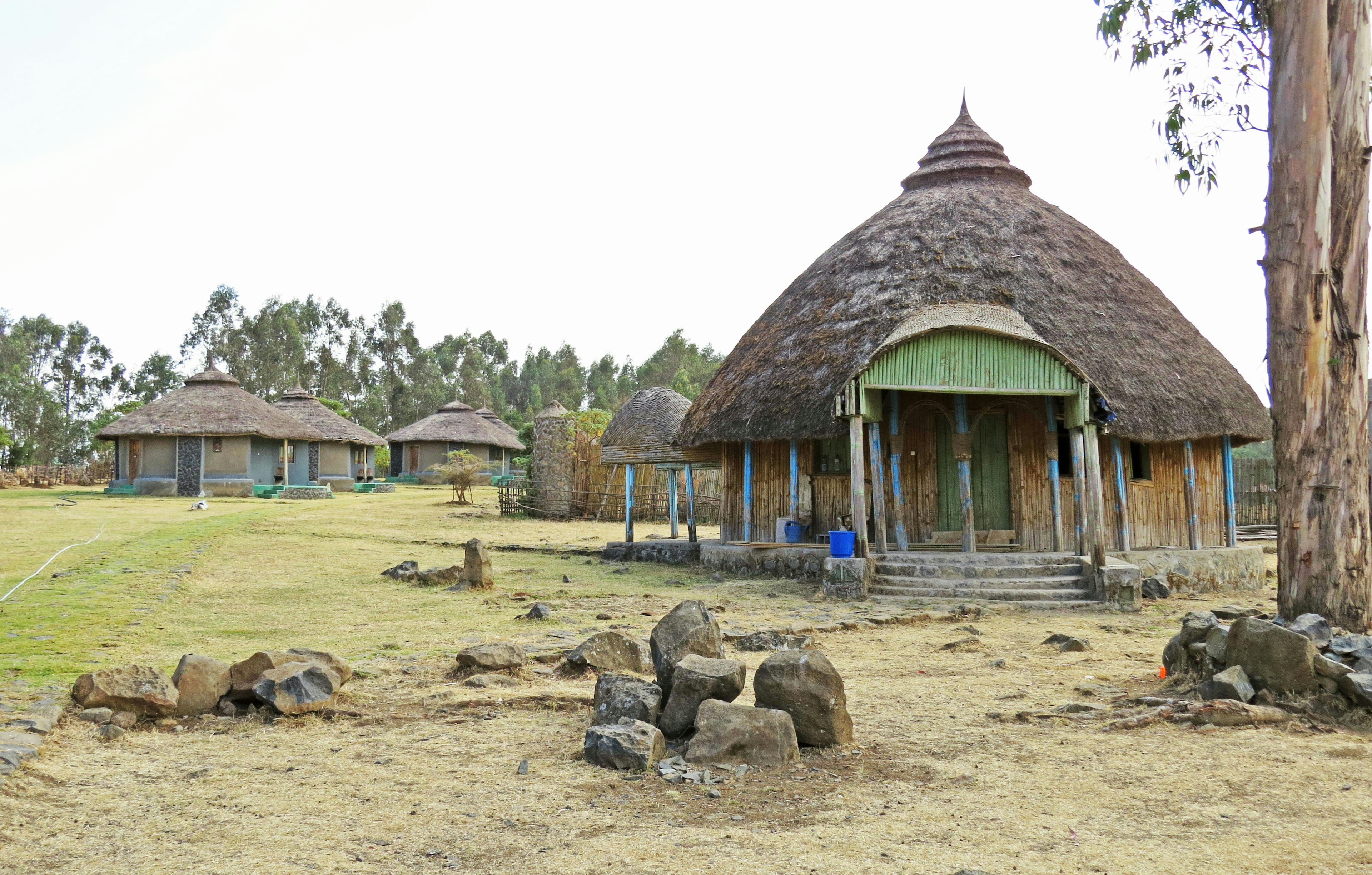 Traditional round-roofed houses in Ethiopia surrounded by grassland