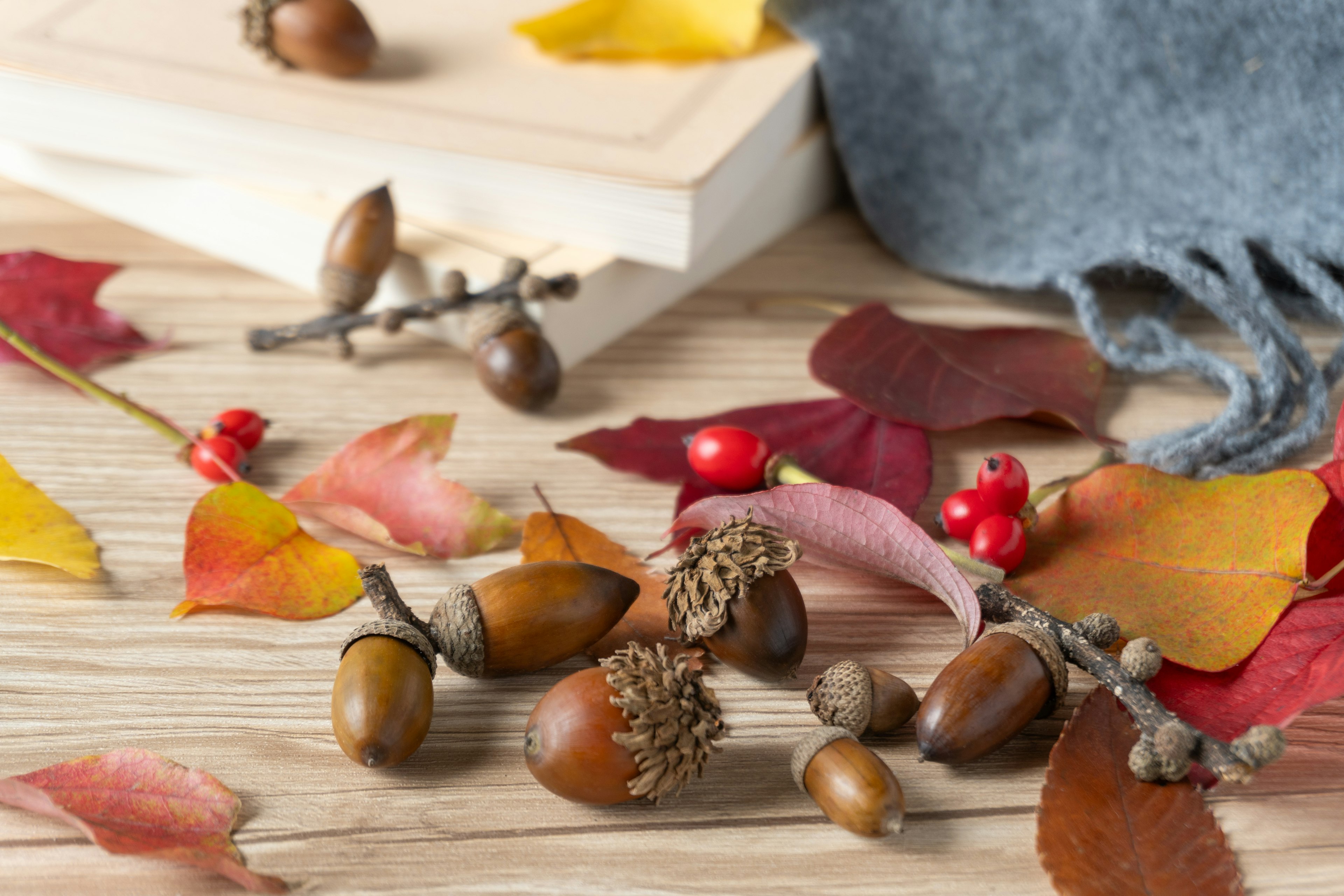 Autumn table decoration with acorns and colorful leaves scattered