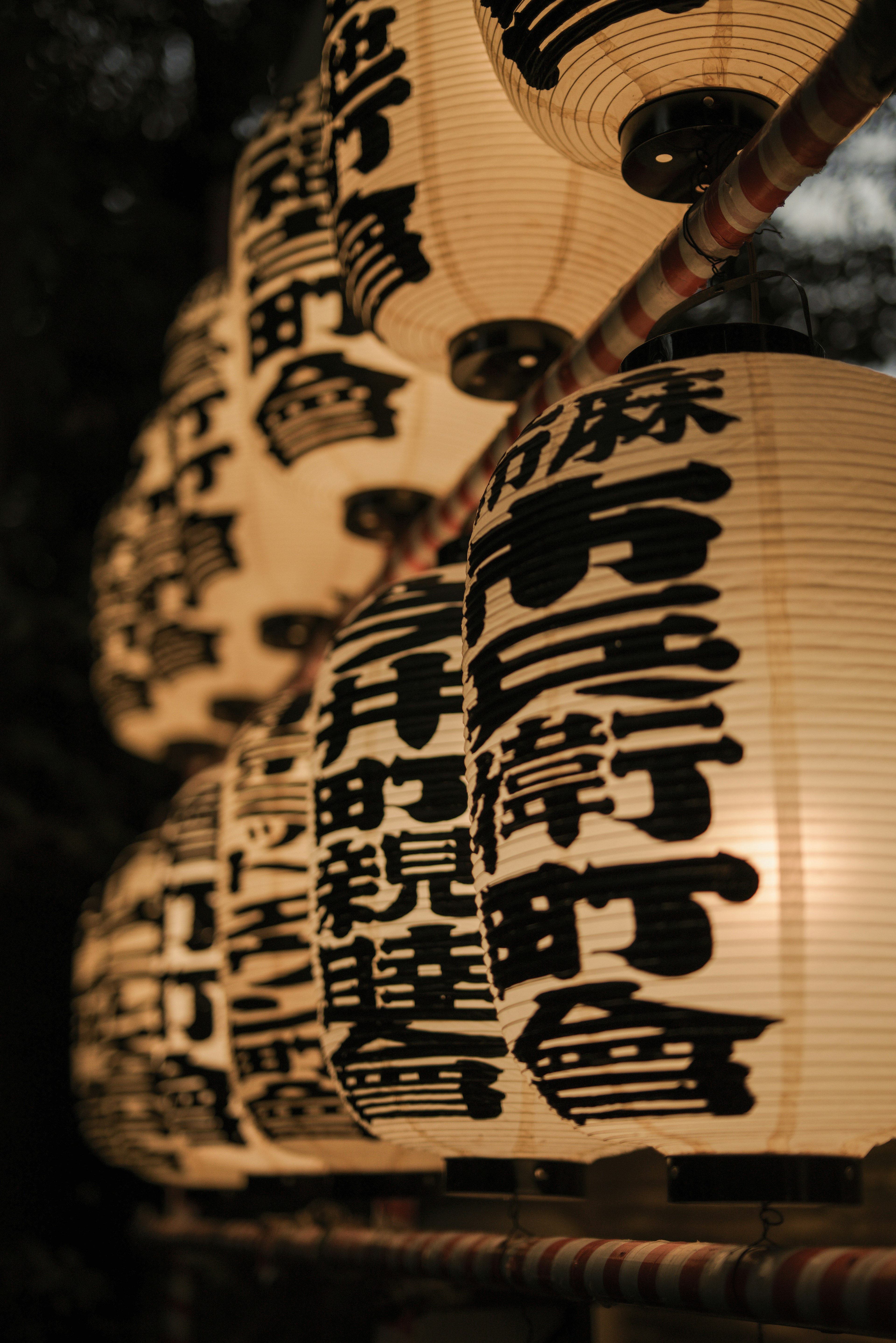 Japanese lanterns with black calligraphy