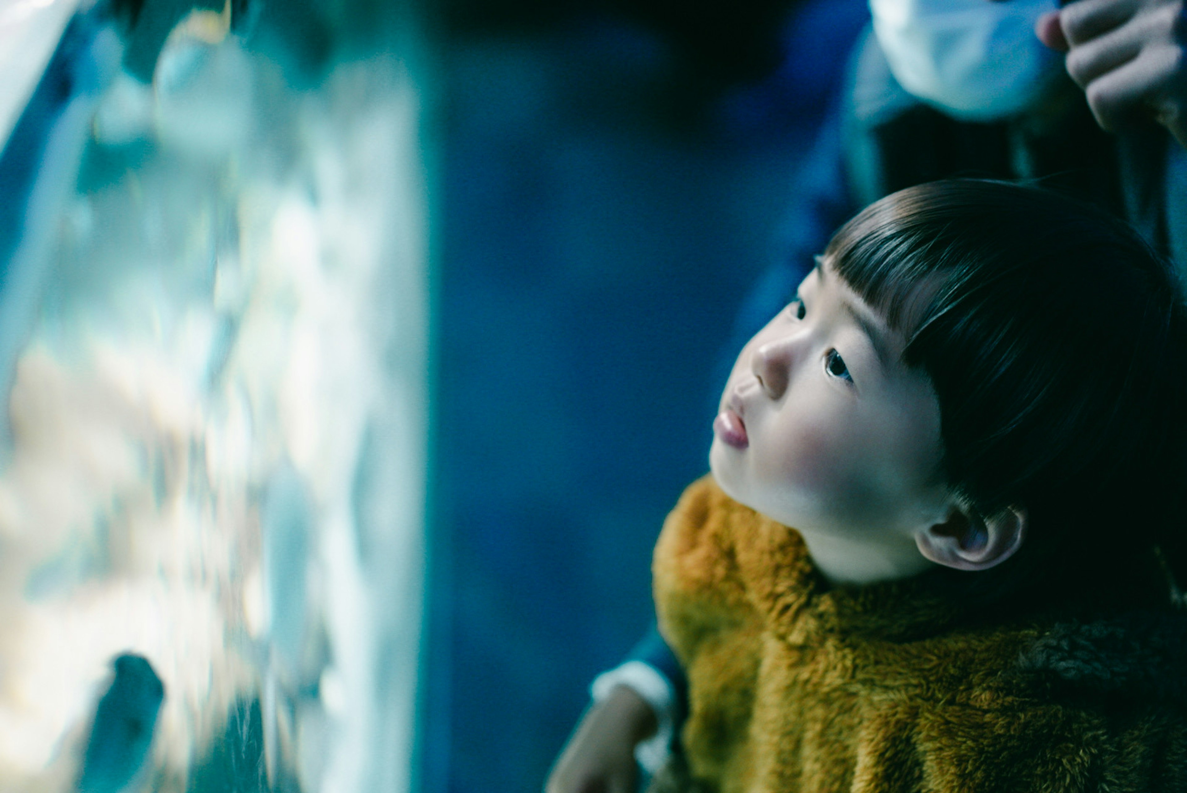 Child gazing at fish in aquarium illuminated by blue light