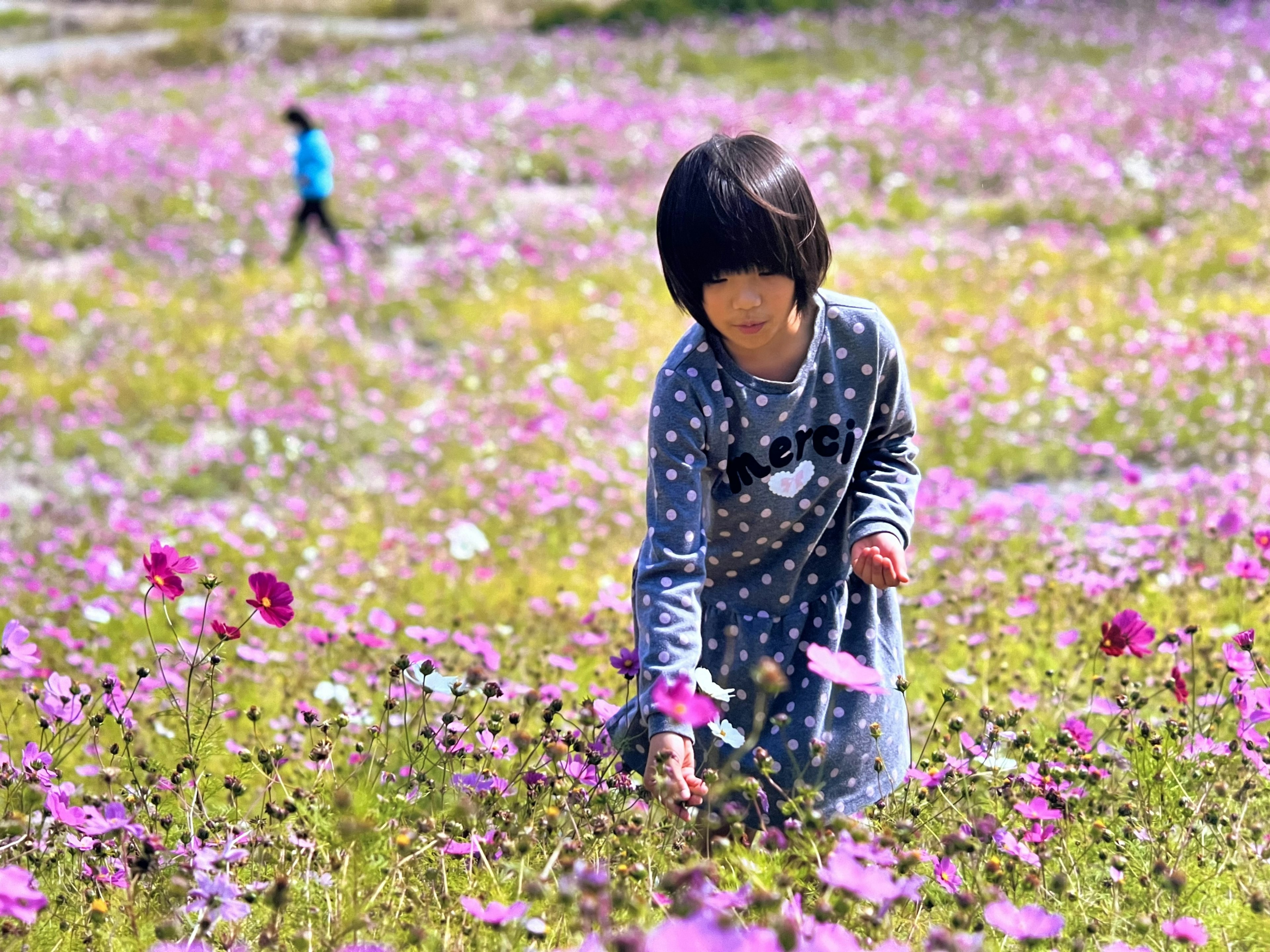 Trẻ em đang hái hoa trong cánh đồng hoa rực rỡ với một đứa trẻ khác ở phía sau