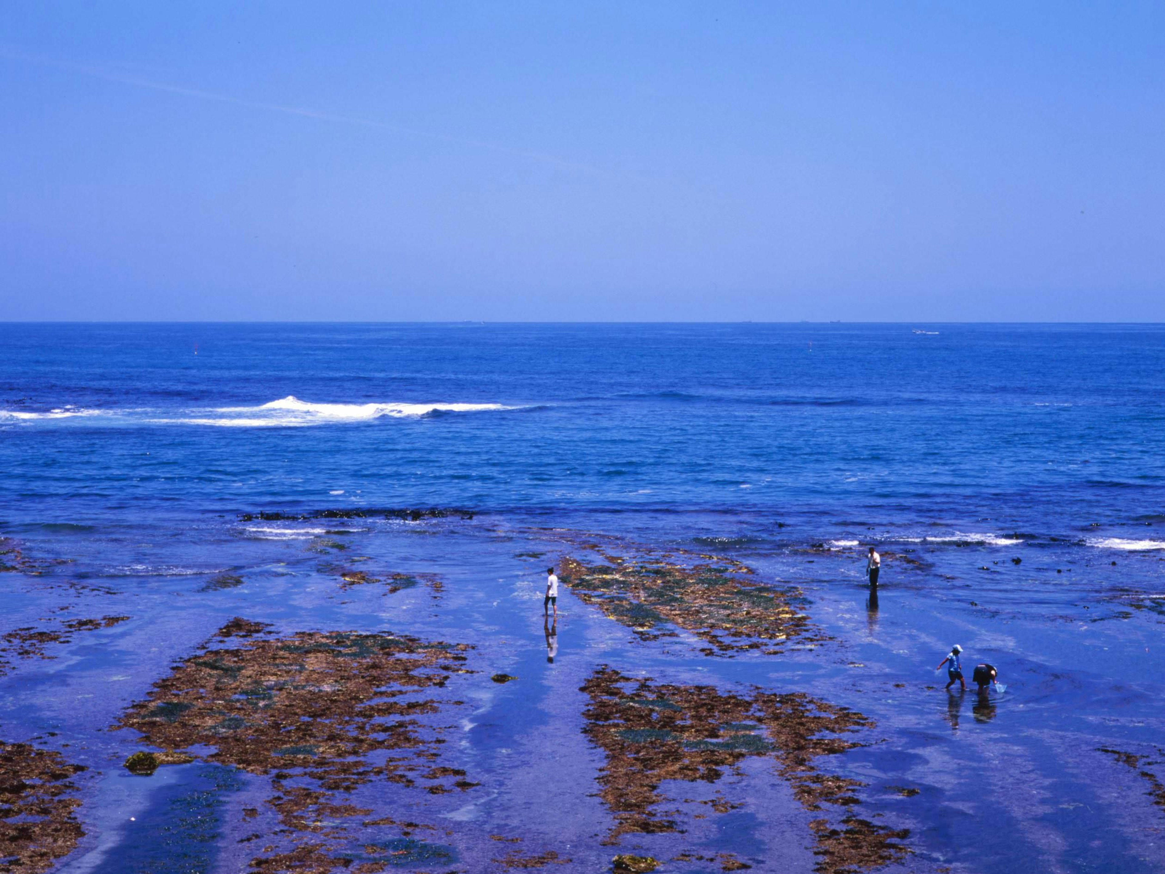 ผู้คนสำรวจสระน้ำขึ้นลงที่ชายหาดสีน้ำเงิน