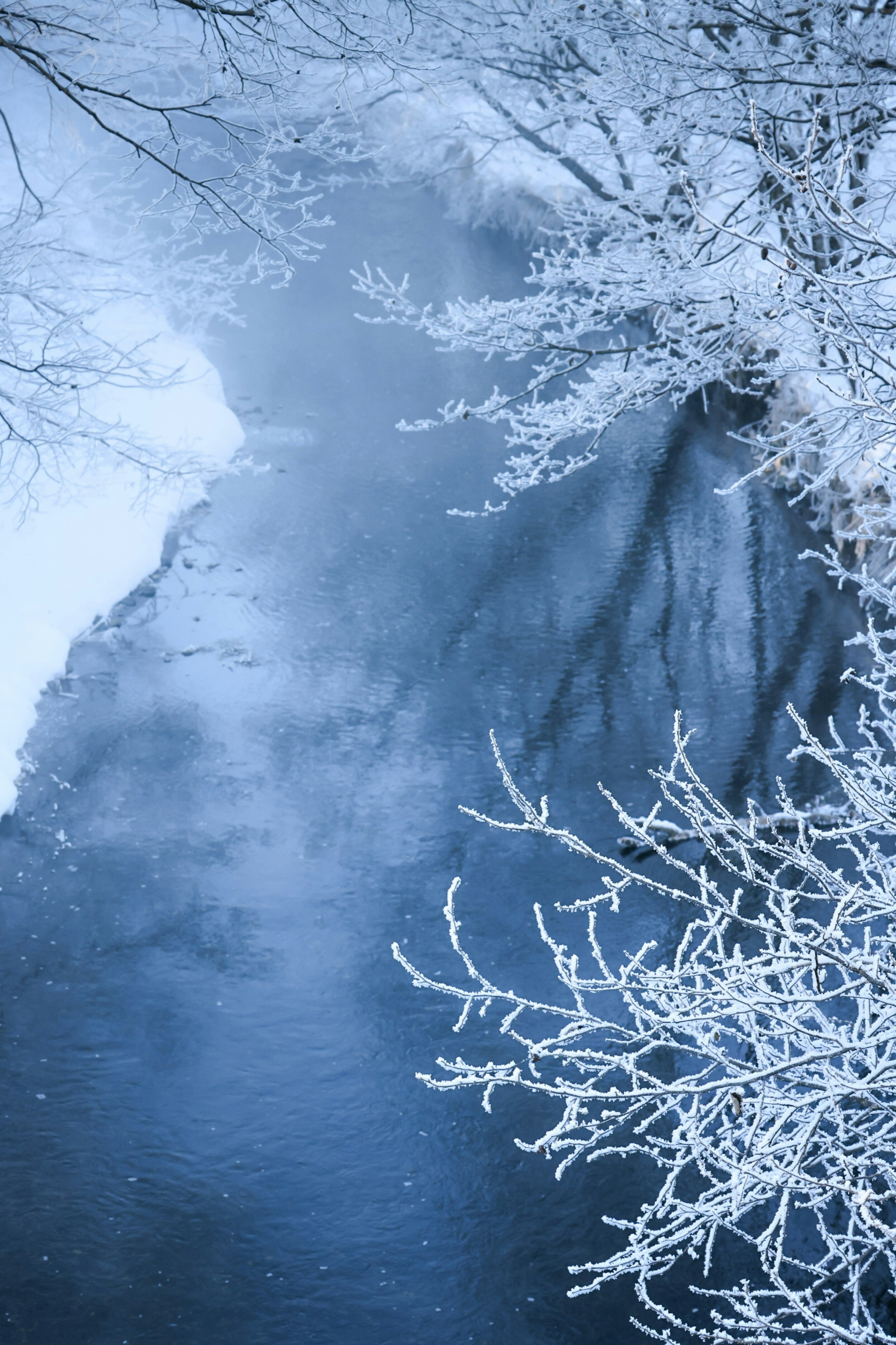 雪に覆われた木の枝と凍った川の冬の風景