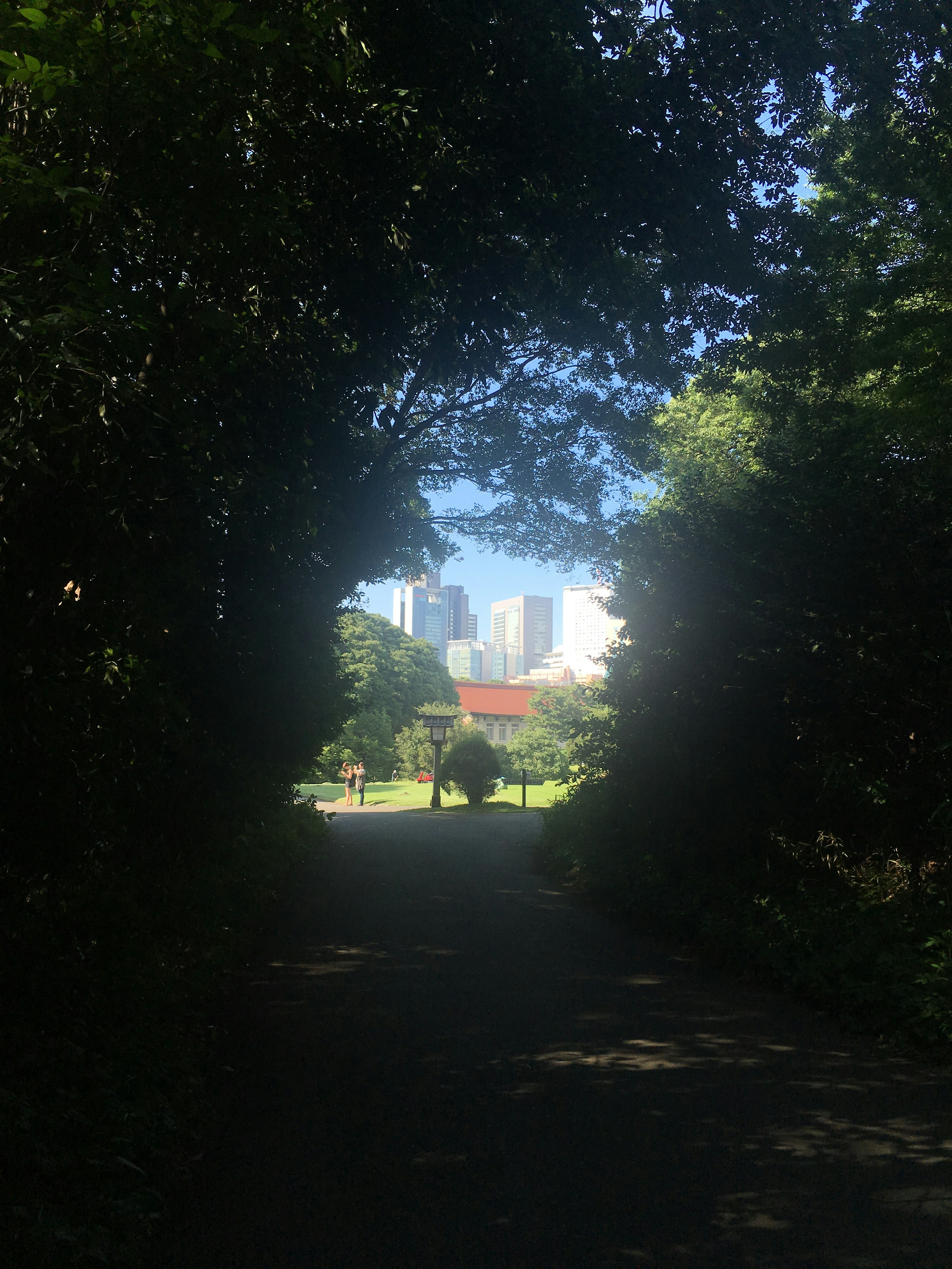 Städtische Skyline durch Bäume mit blauem Himmel sichtbar