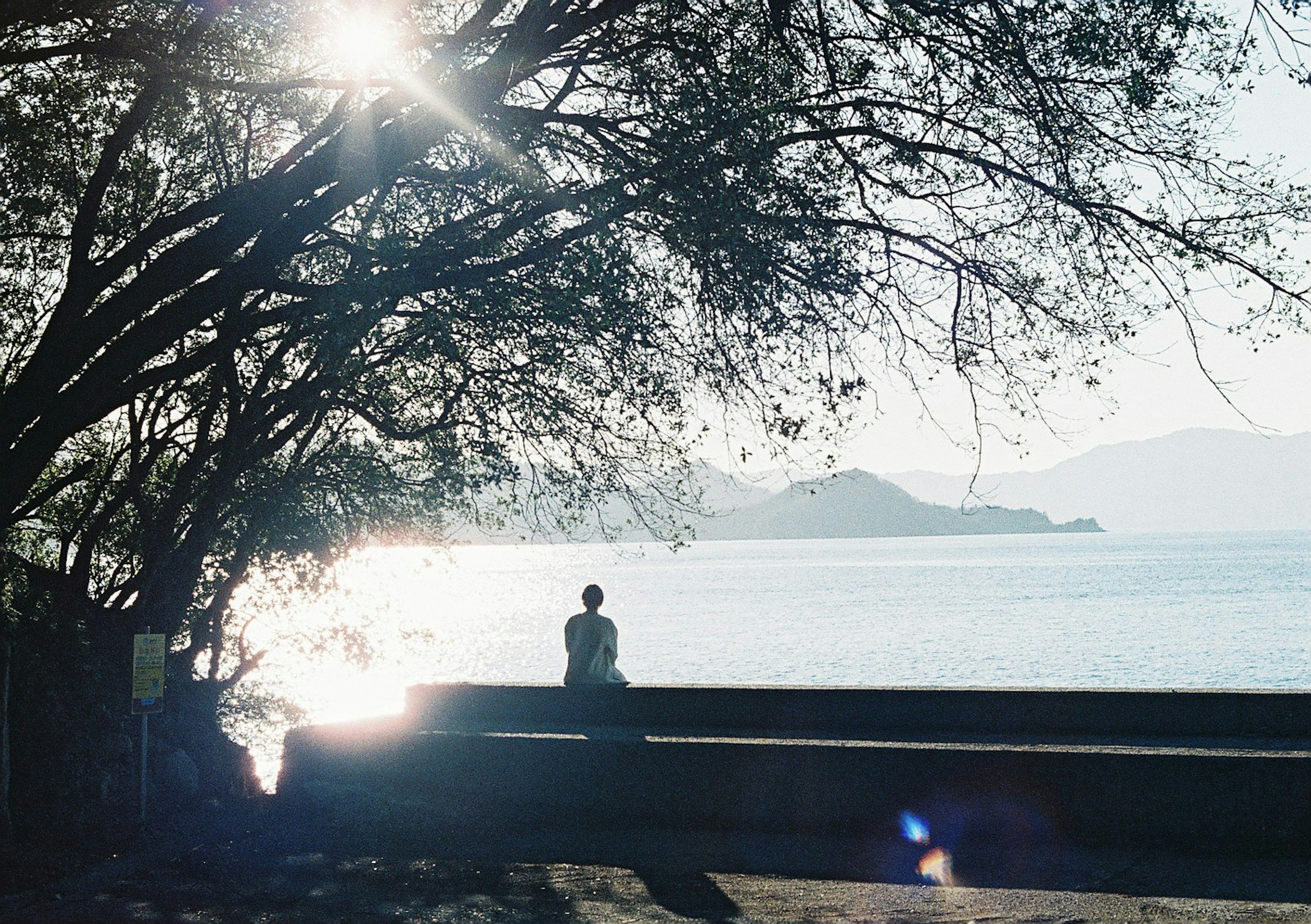 A serene lakeside scene with a person sitting with their back turned and sparkling water