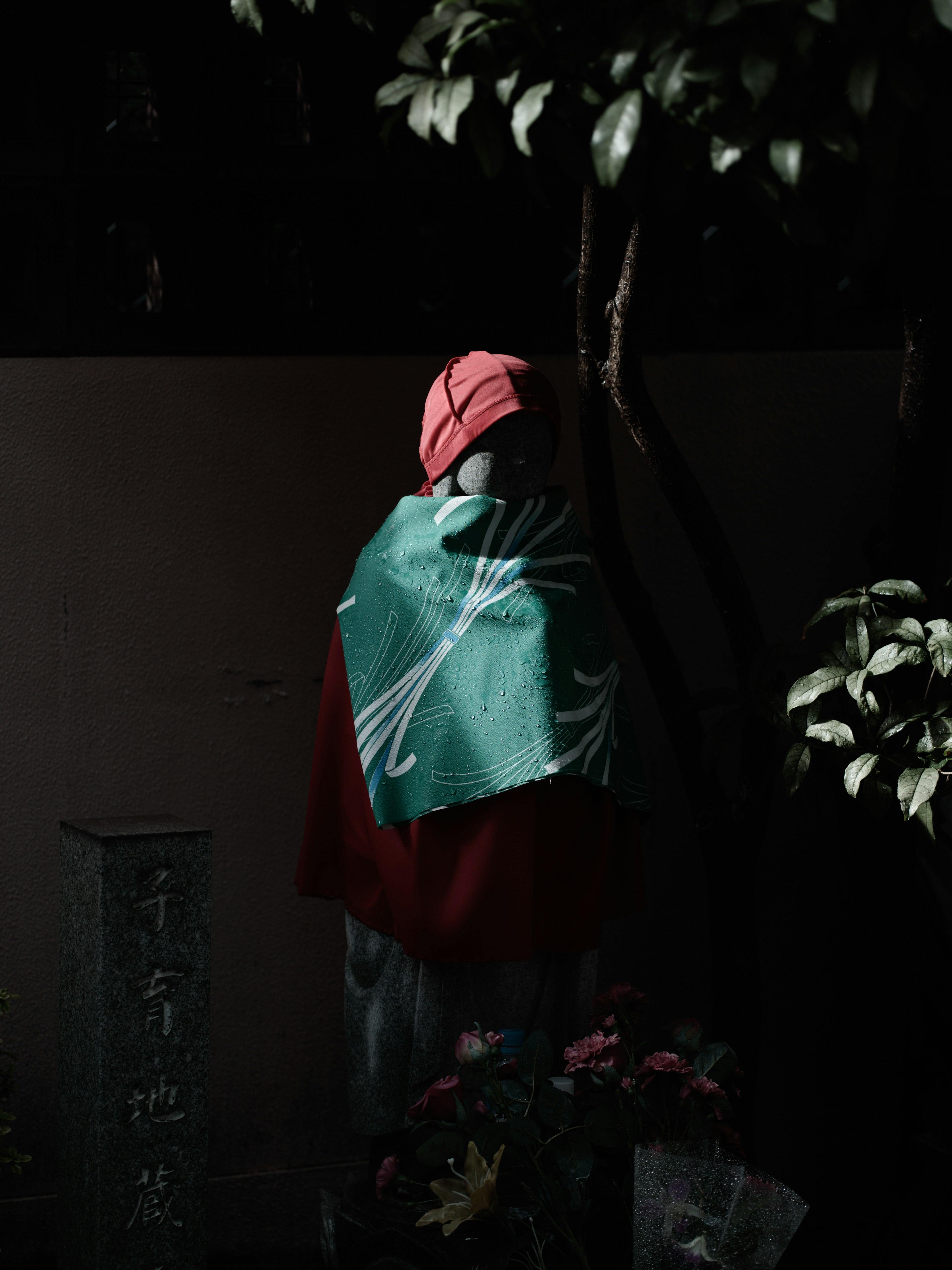 A person wearing a green cape and a red hat stands near a tree in a dark background