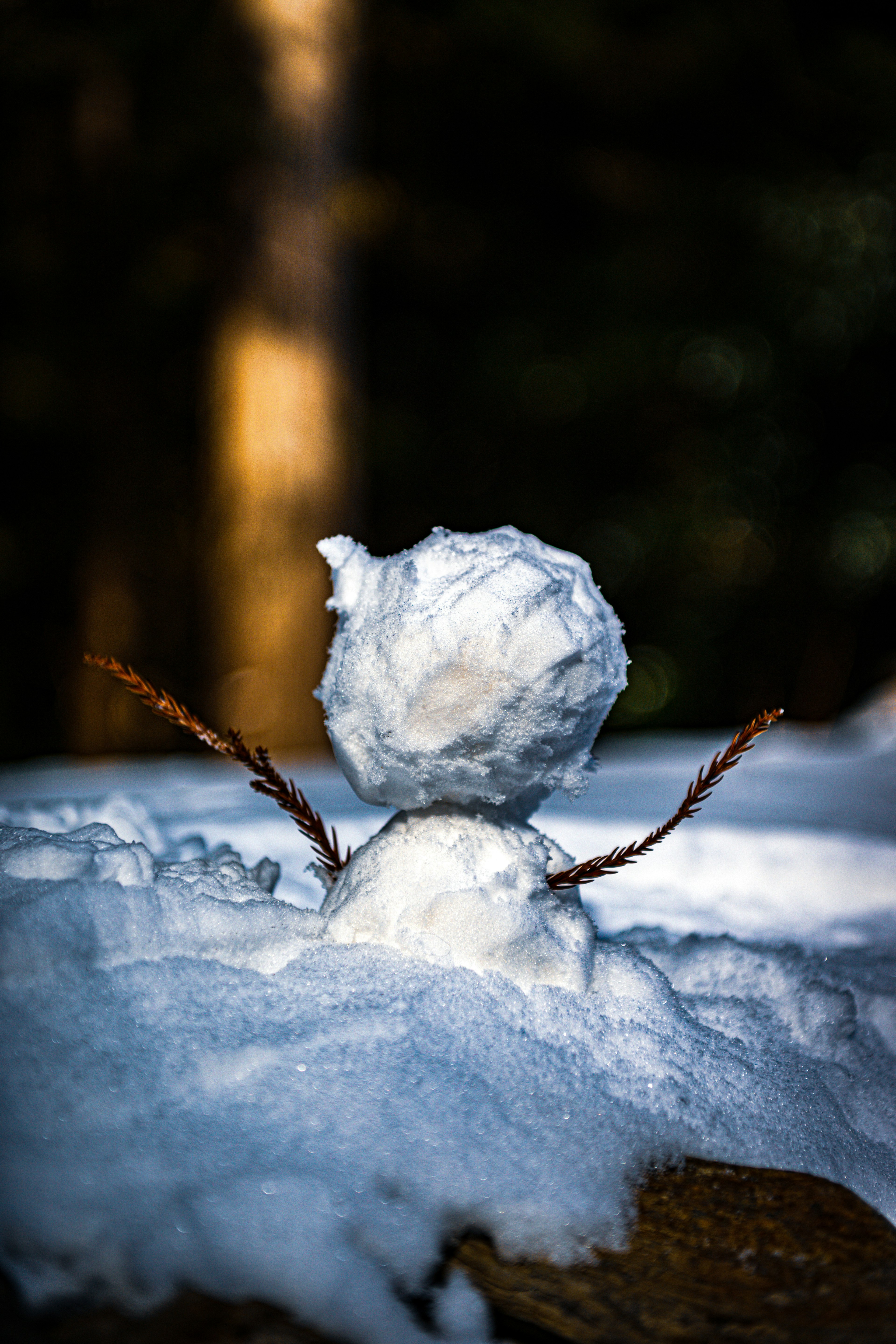 A small snowman made of snow with twig arms sitting on a snowy surface