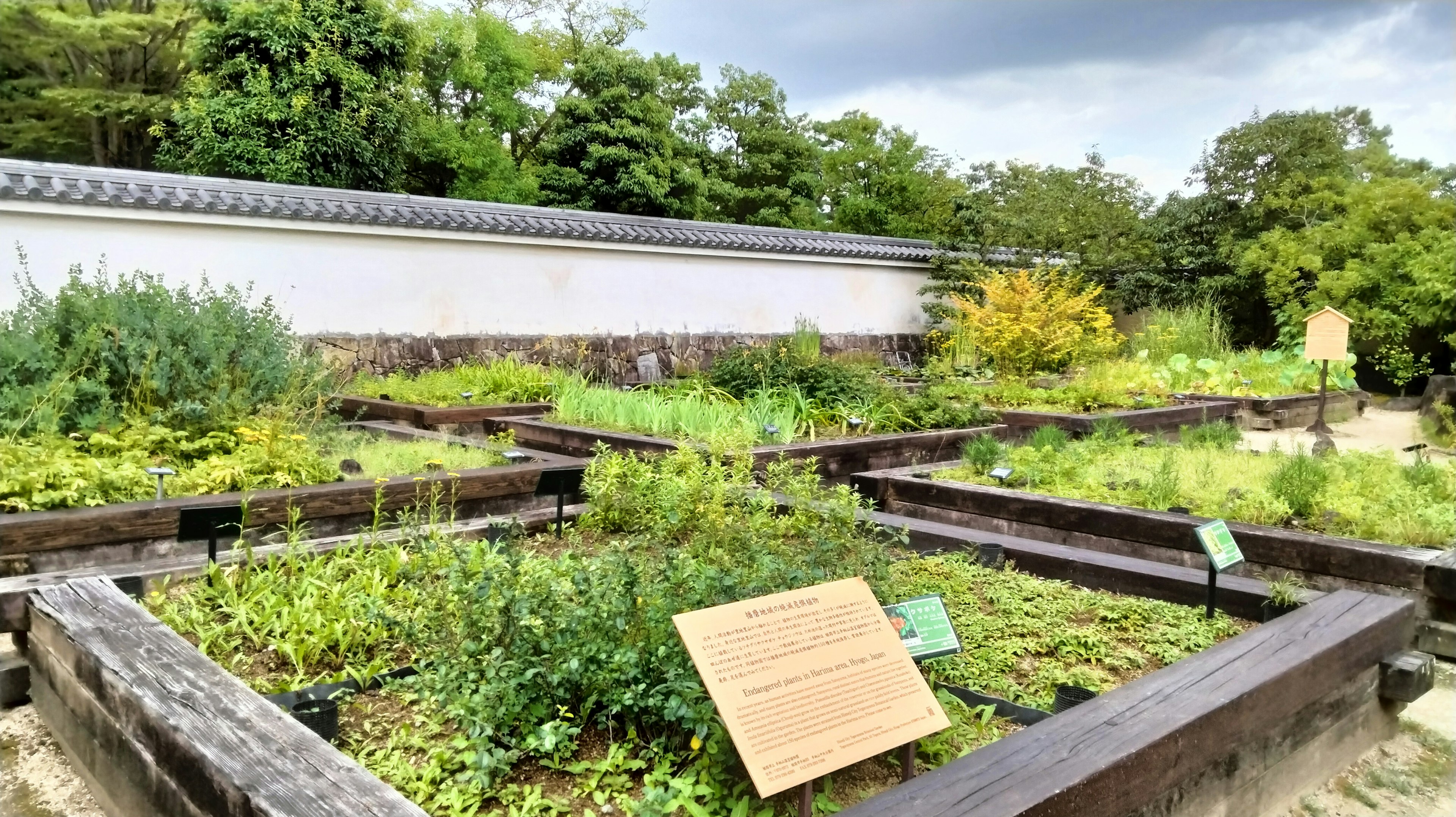 Gartenlayout mit verschiedenen Kräutern und Pflanzen in Holzbeeten