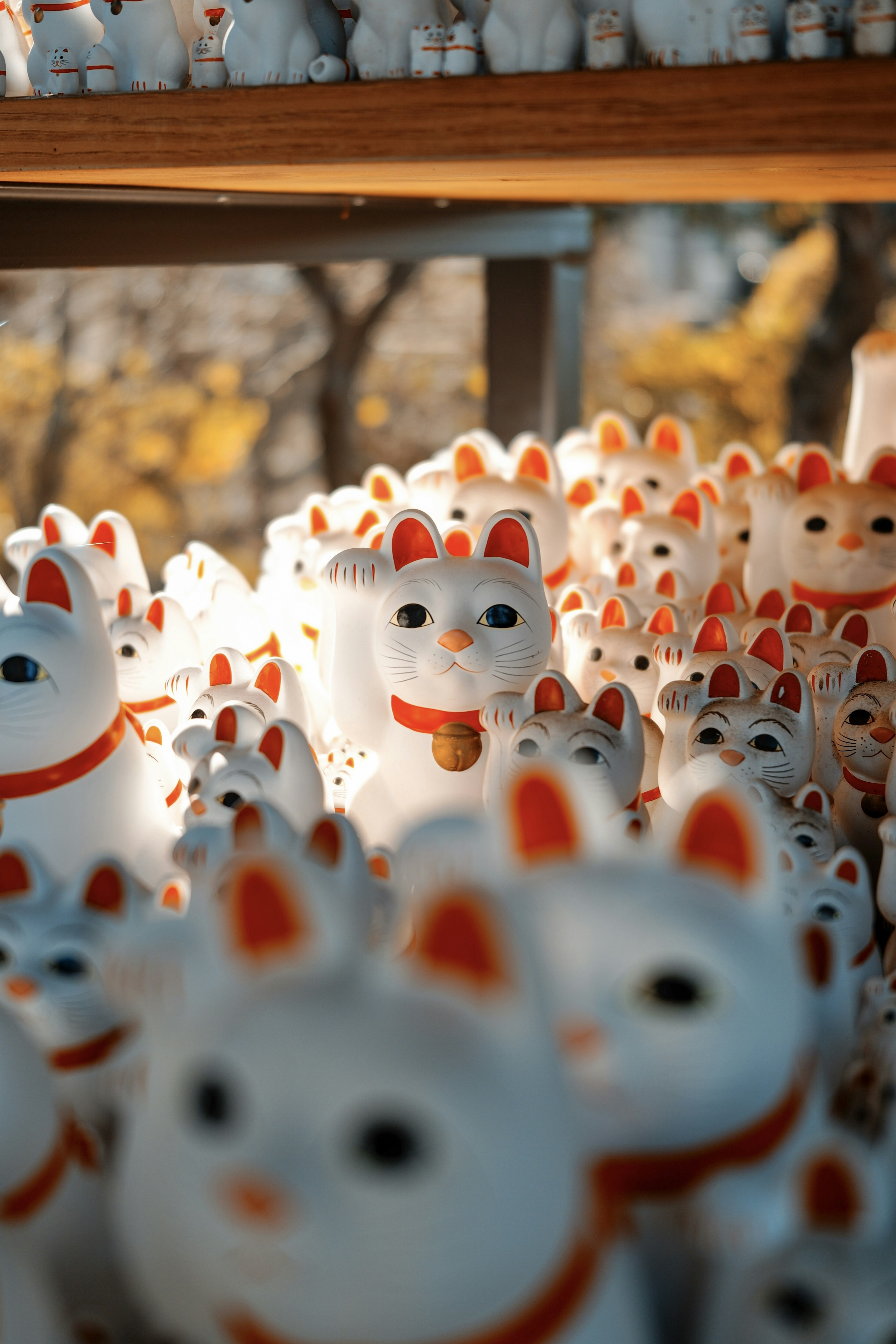 A scene filled with numerous white lucky cats