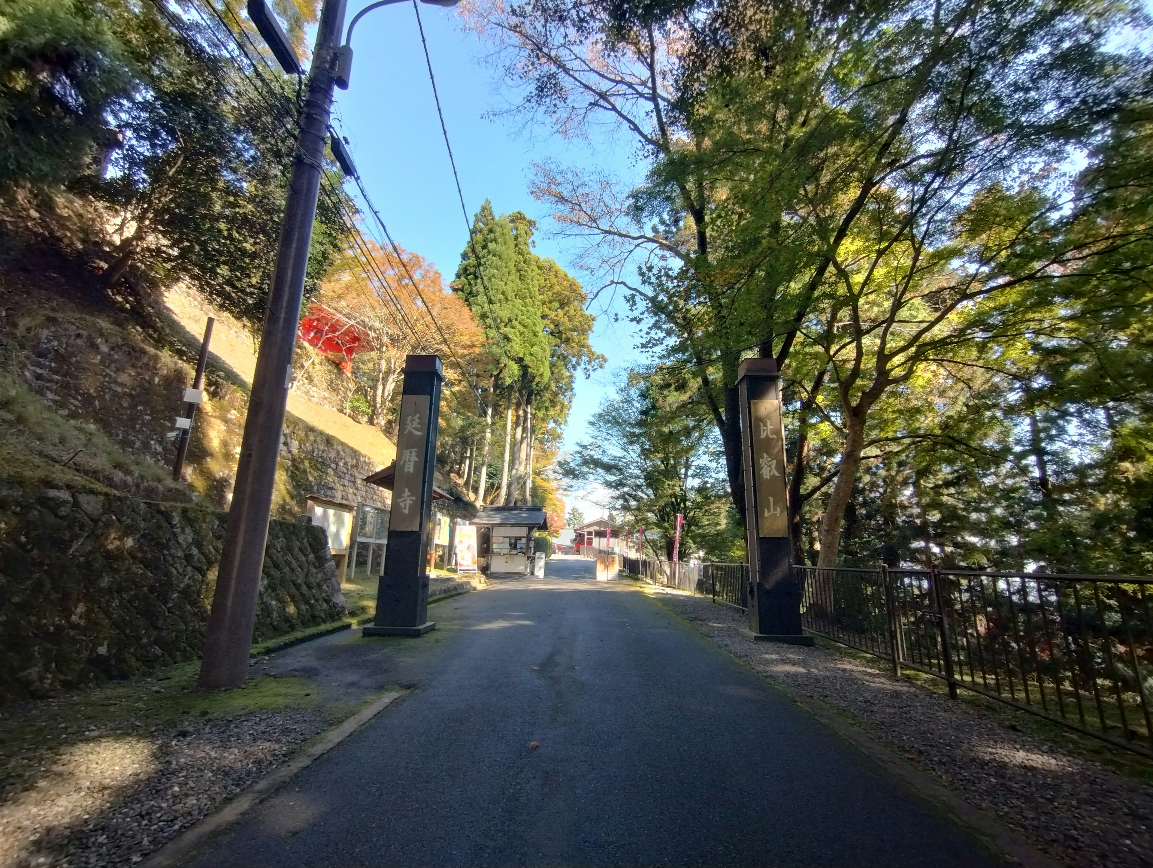 Una strada panoramica circondata da alberi verdi con un ingresso residenziale visibile