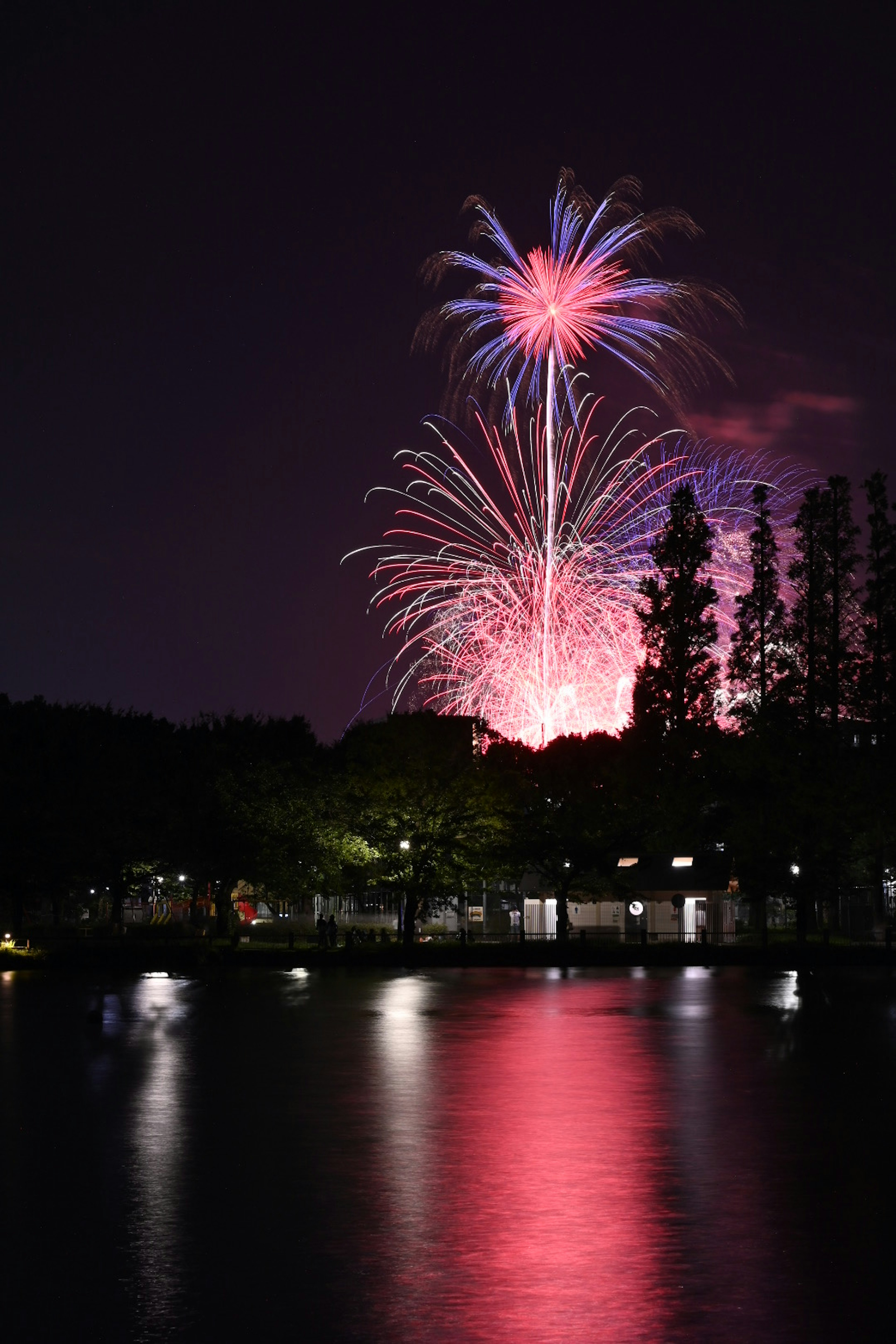 Hermosos fuegos artificiales iluminando el cielo nocturno reflejos coloridos en el agua